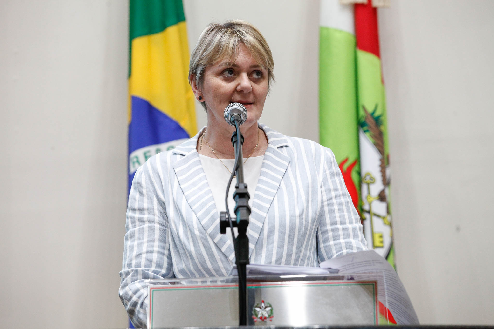 Deputada Luciane Carminatti (PT)