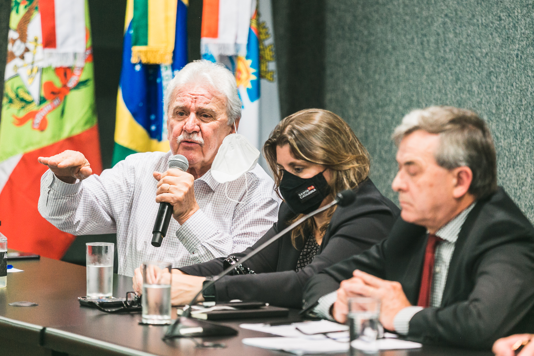 Deputado Moacir Sopelsa (MDB)