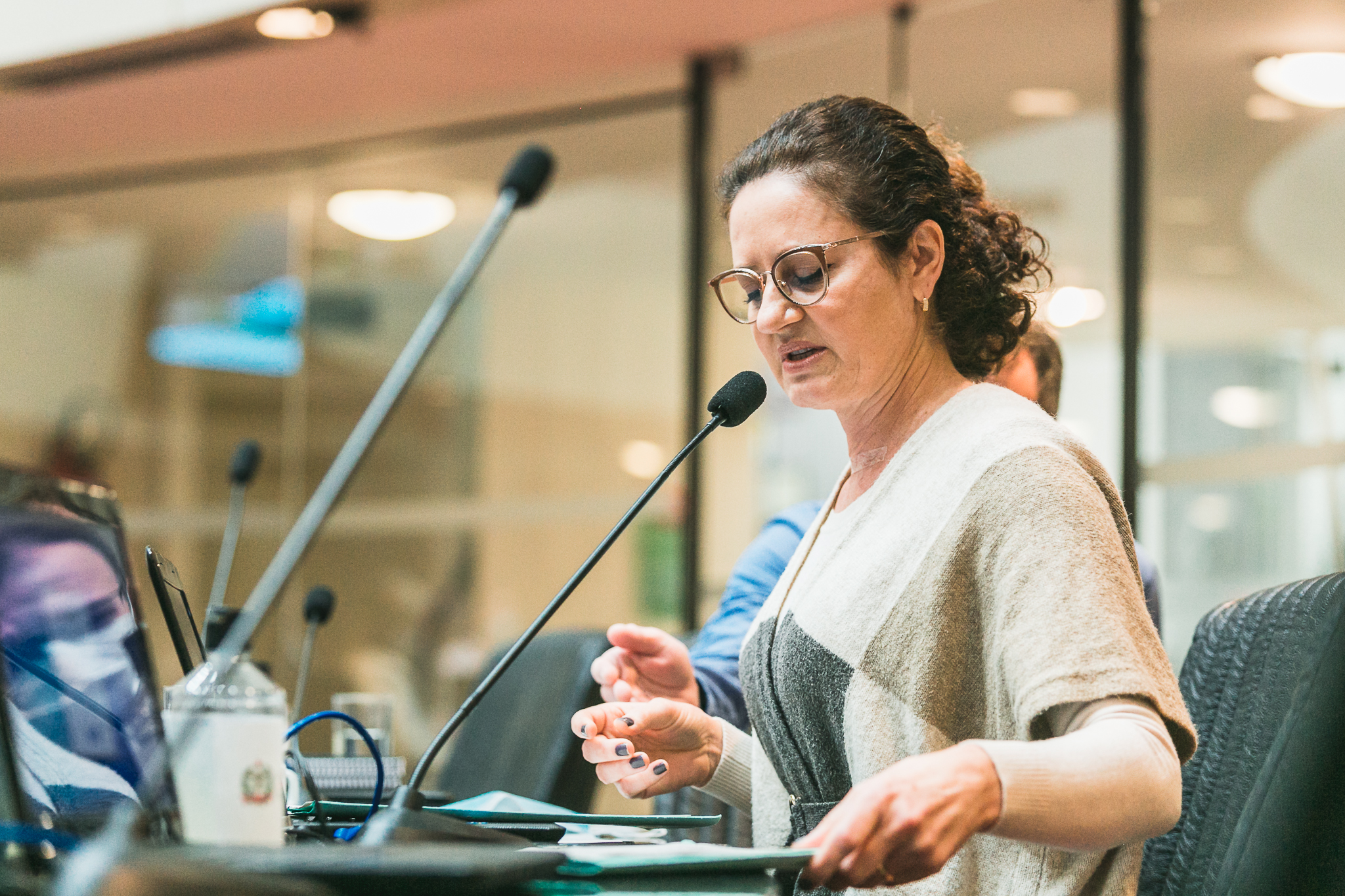 Deputada Marlene Fengler (PSD)