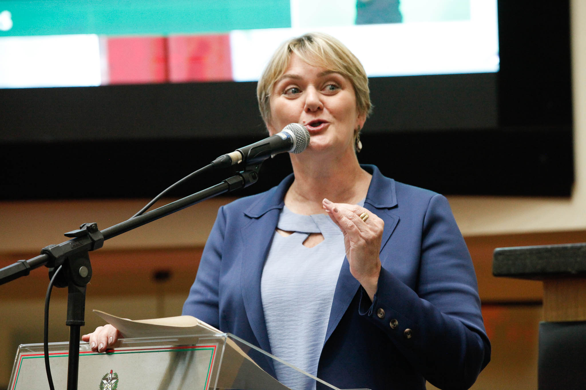 Deputada Luciane Carminatti (PT)