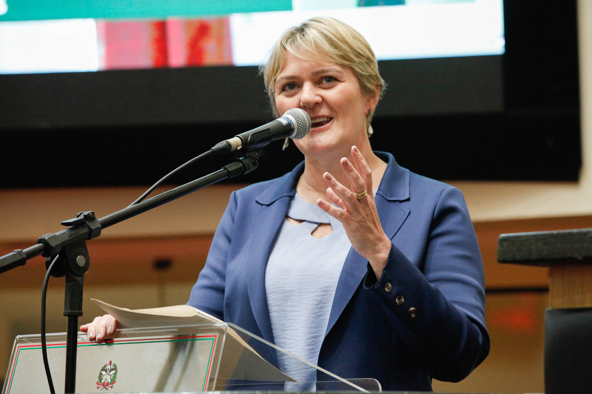Deputada Luciane Carminatti (PT)
