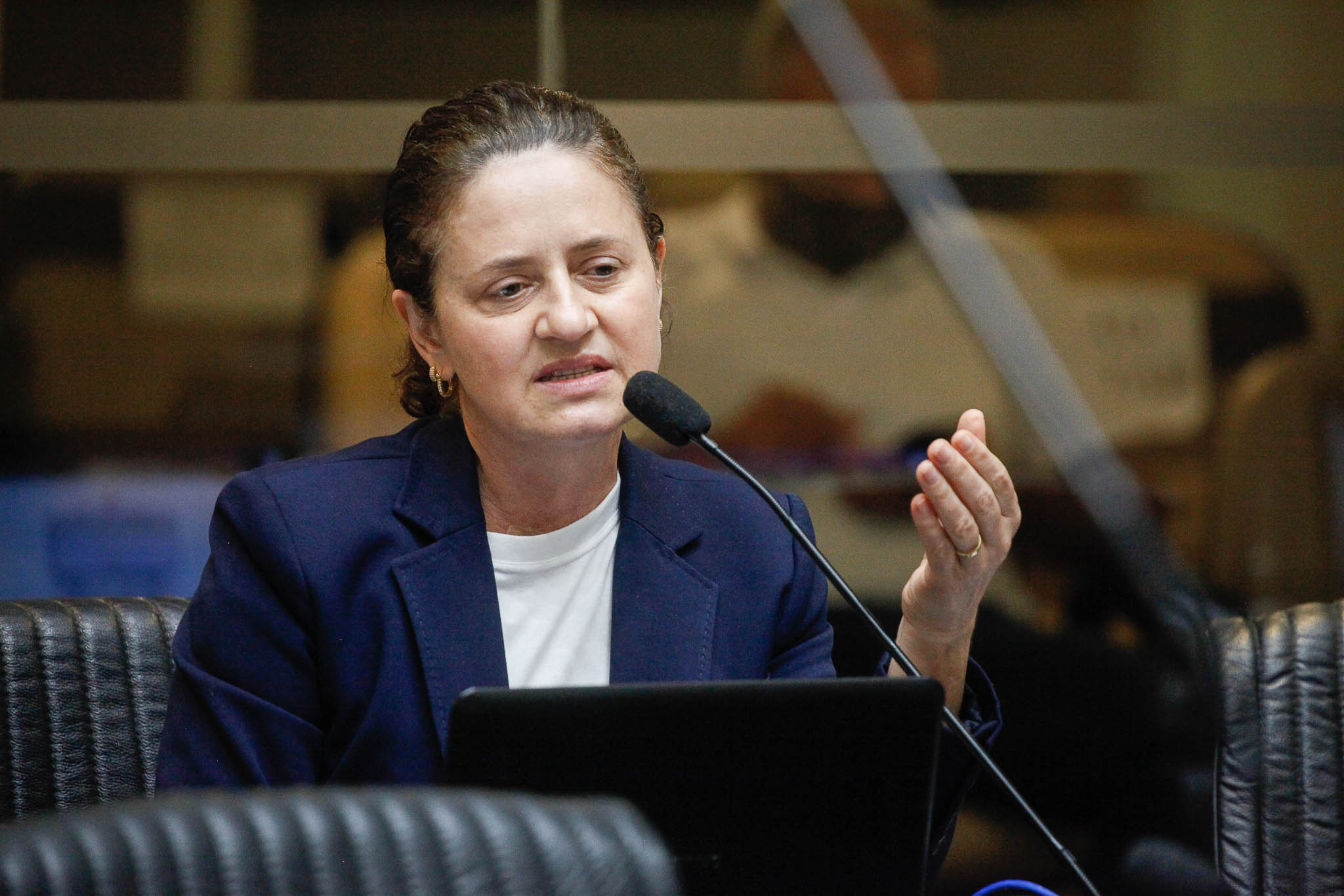 Deputada Marlene Fengler (PSD)