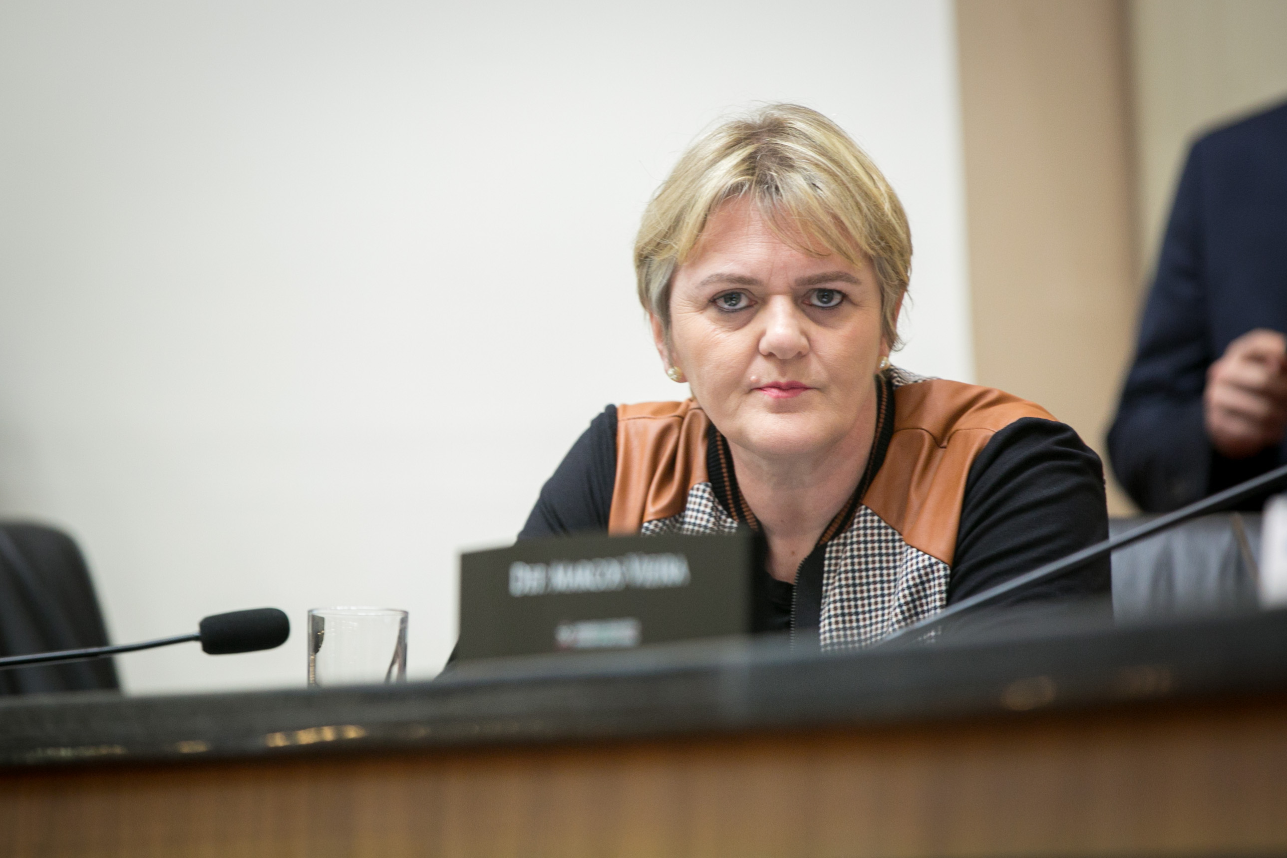 Deputada Luciane Carminatti (PT)