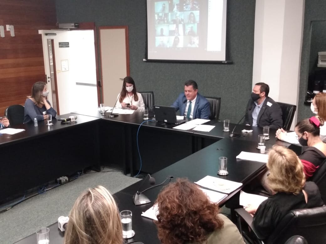 Novas regras têm como foco profissionalização do setor turístico, avalia Ivan Naatz