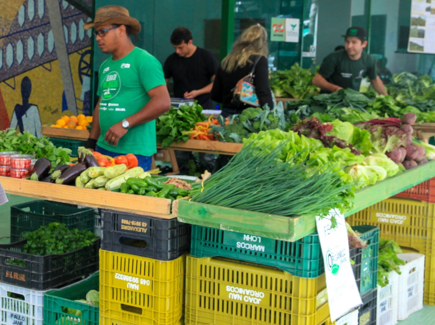 Sancionada lei que institui política estadual para orgânicos e agroecologia