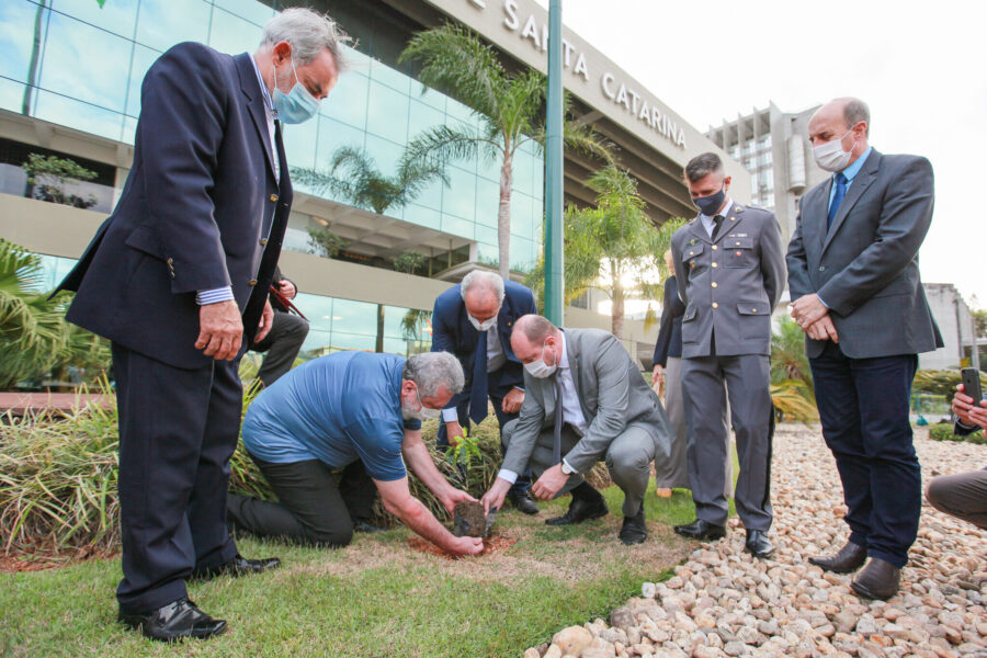 DIA DA ÁRVORE - Plantio de mudas em frente ao Palácio Barriga Verde