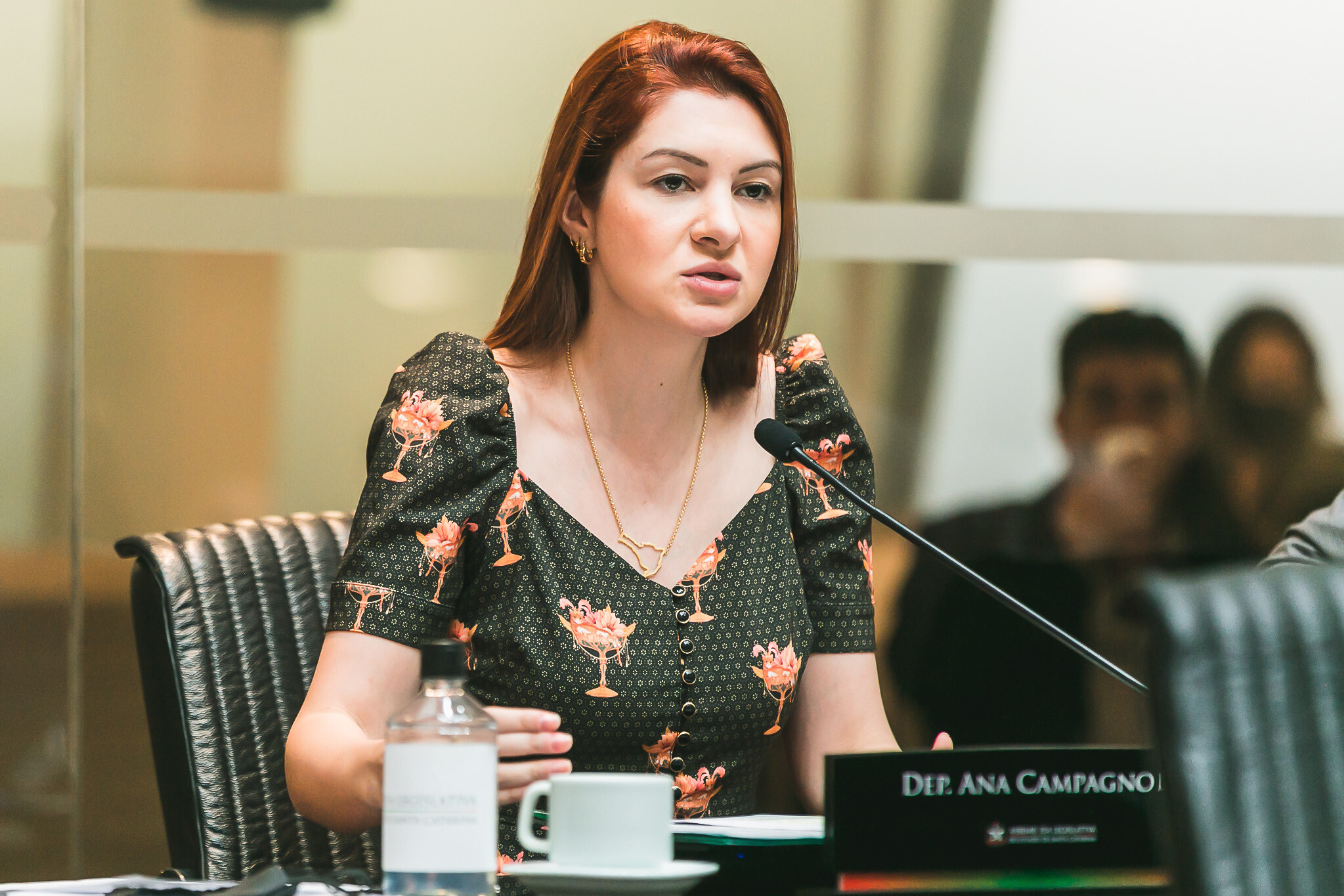 “Desarmamento não contribui para a redução da violência”, diz Campagnolo