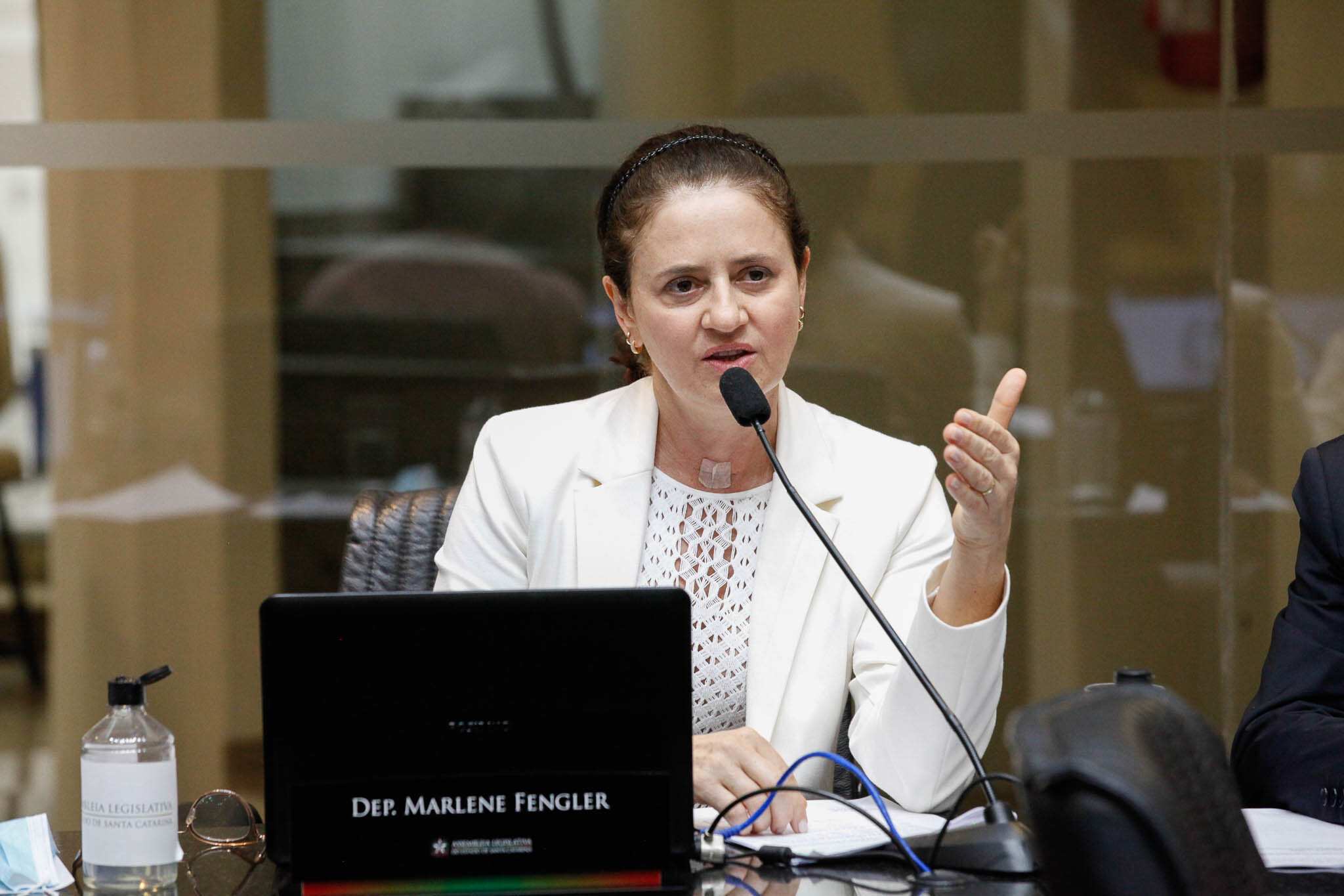 Deputada Marlene Fengler