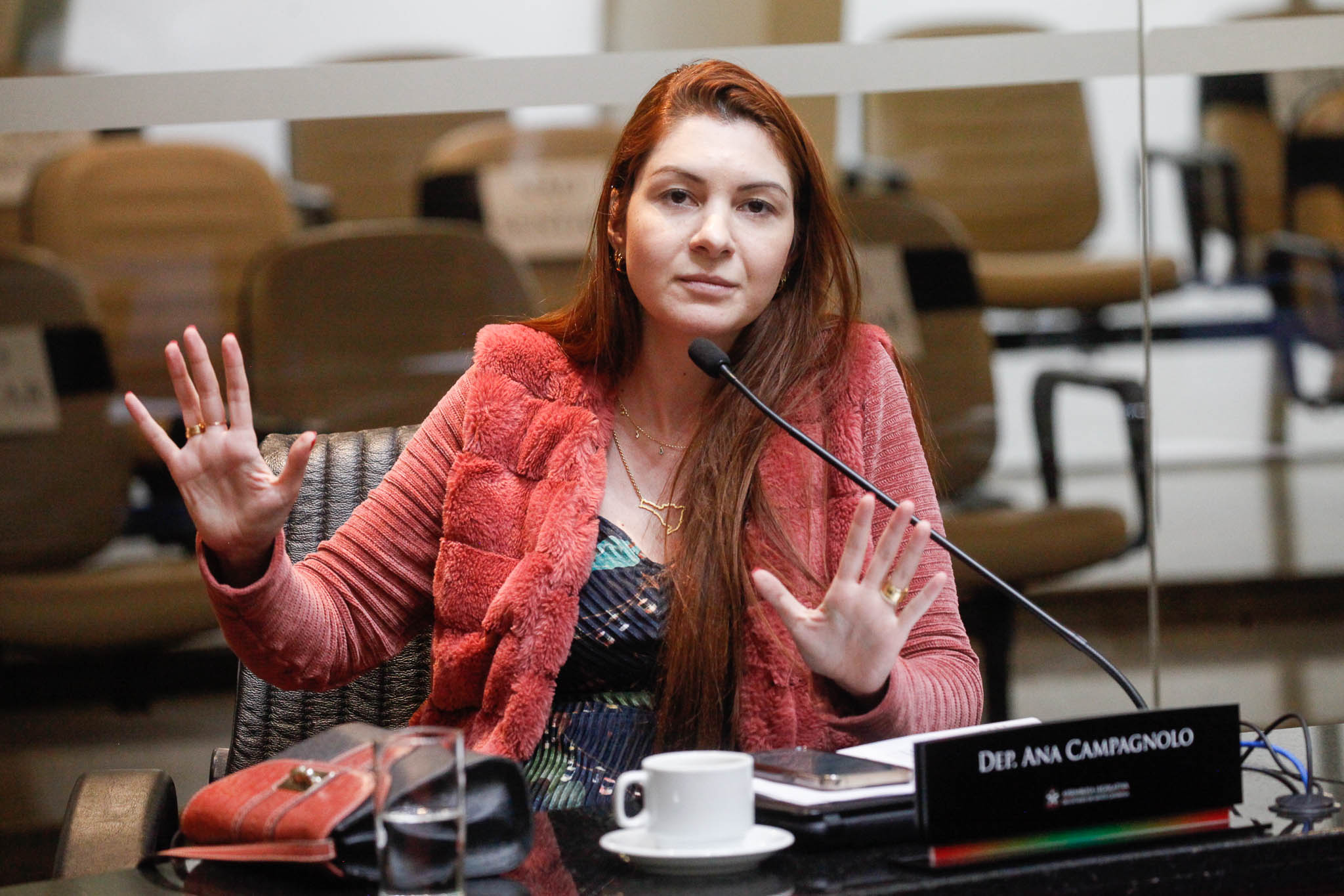 Deputada Ana Caroline Campagnolo (PSL)