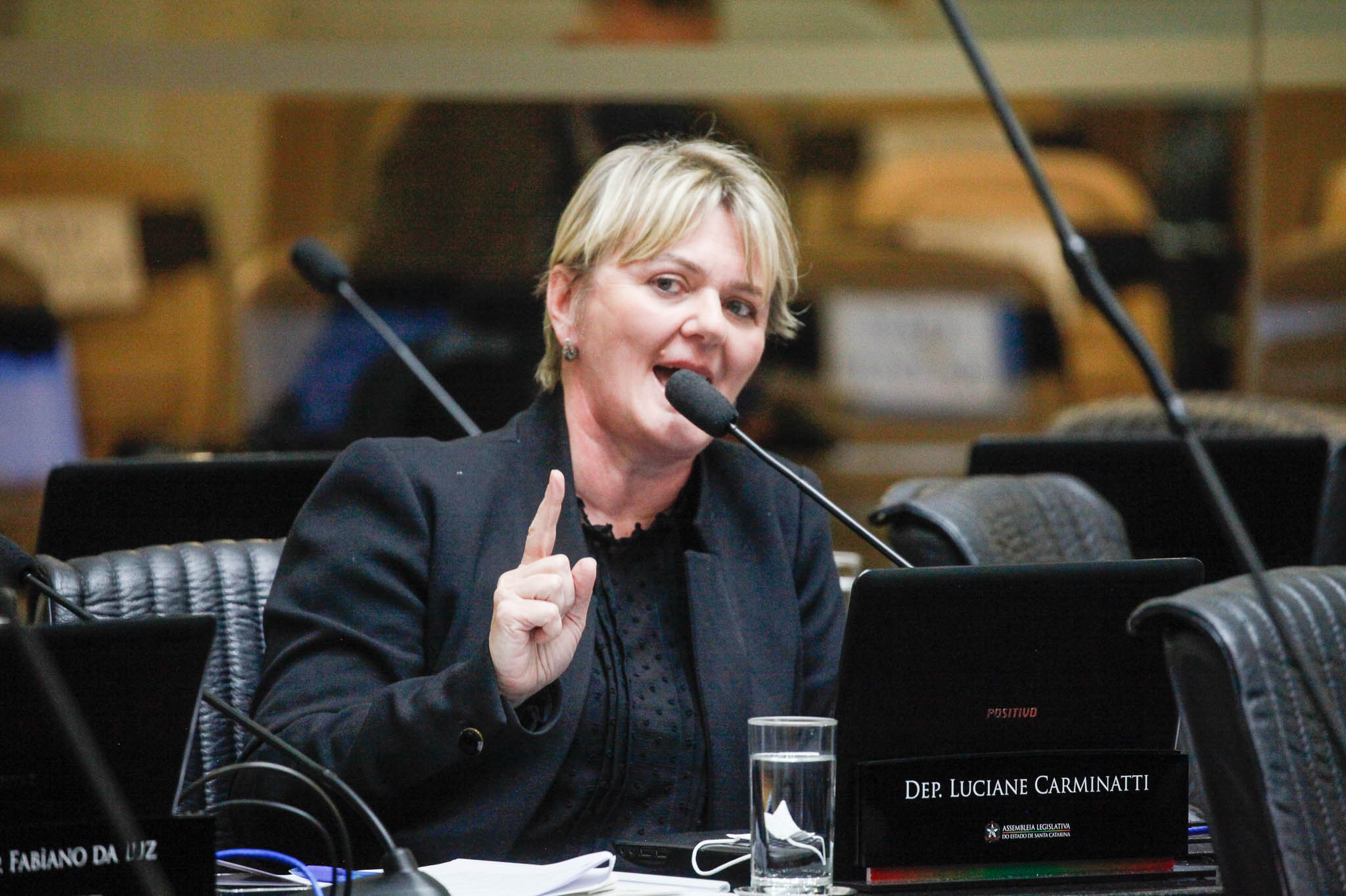 Deputada Luciane Carminatti (PT)