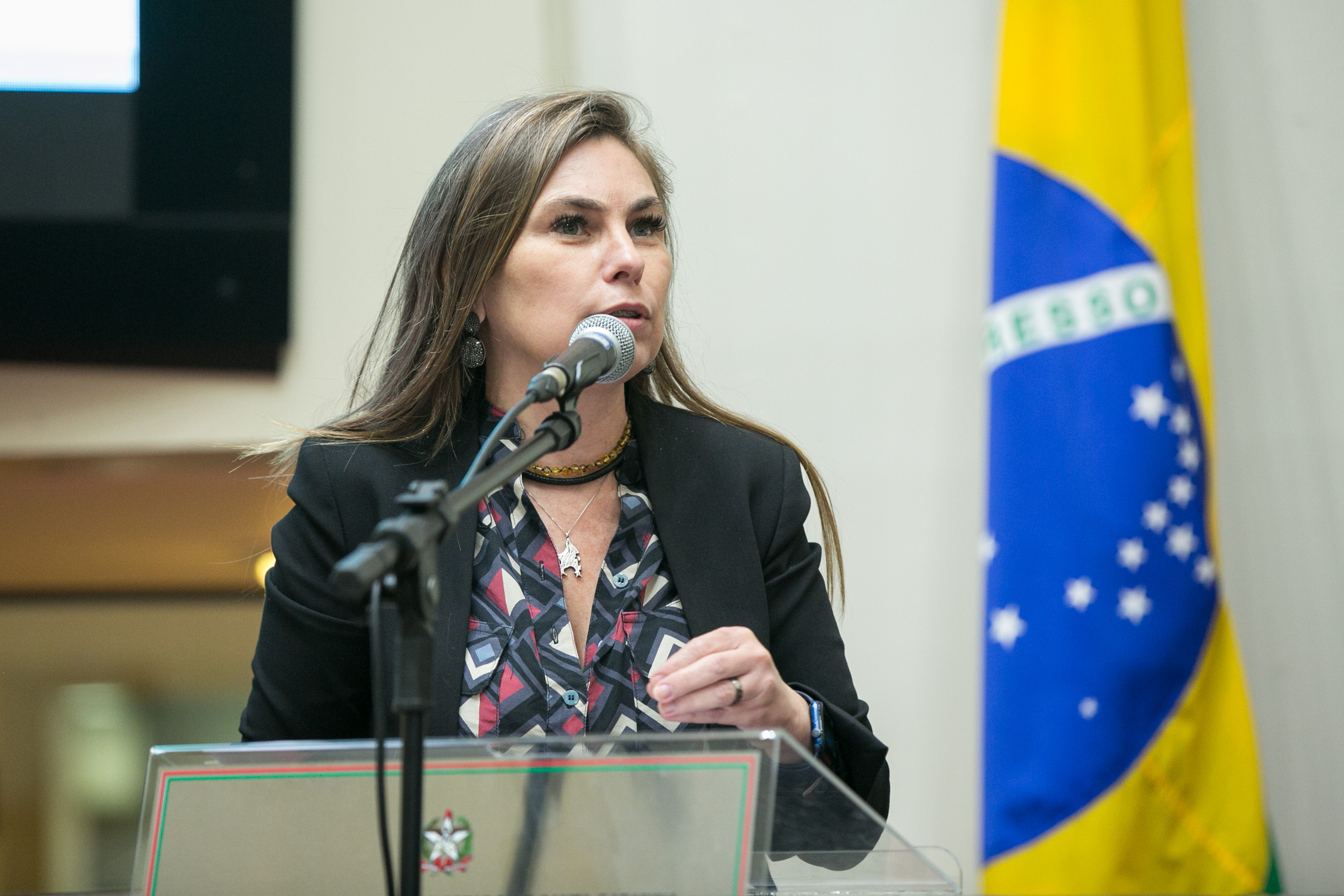 Deputada Paulinha (PDT)