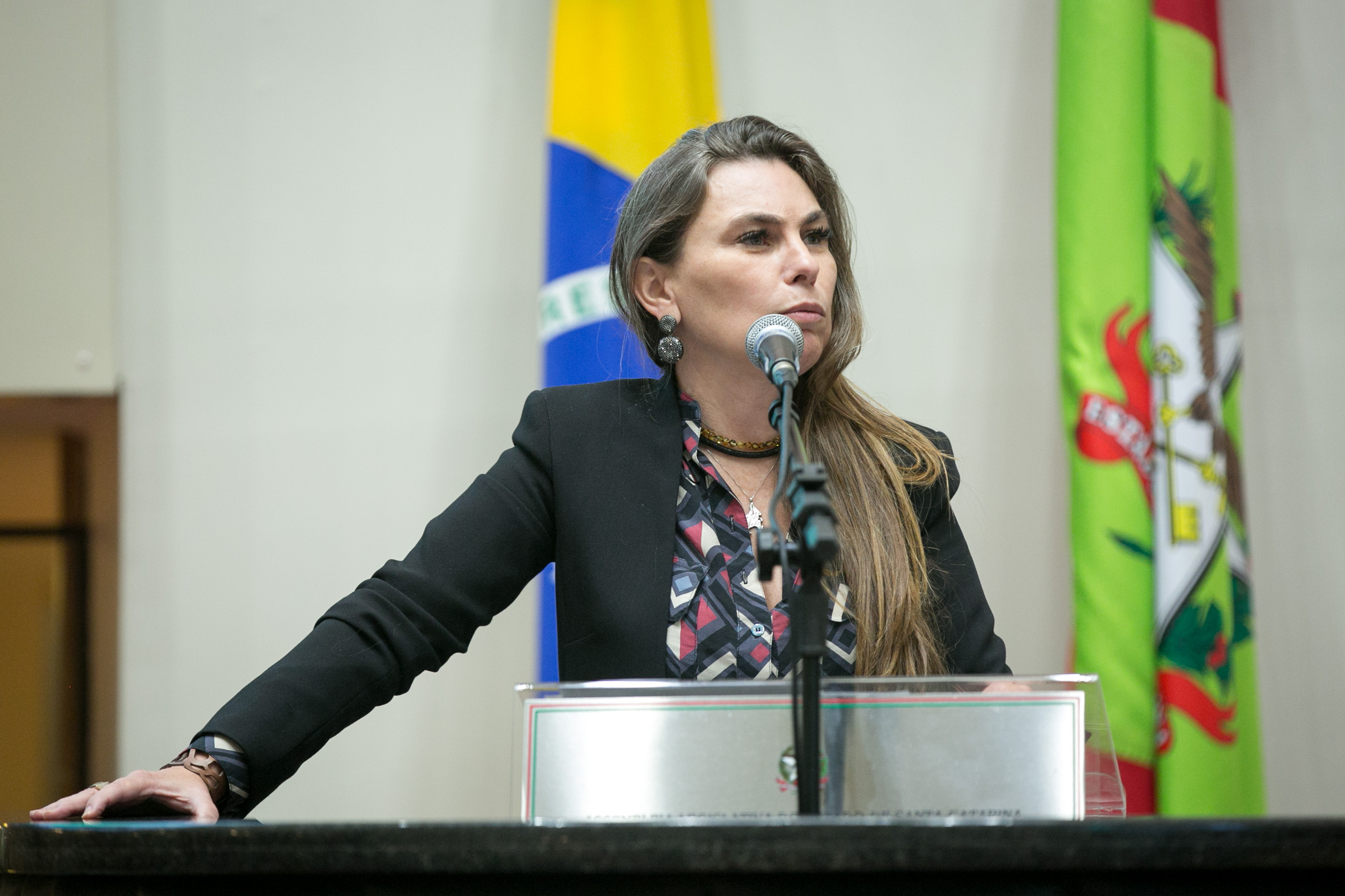 Deputada Paulinha (PDT)