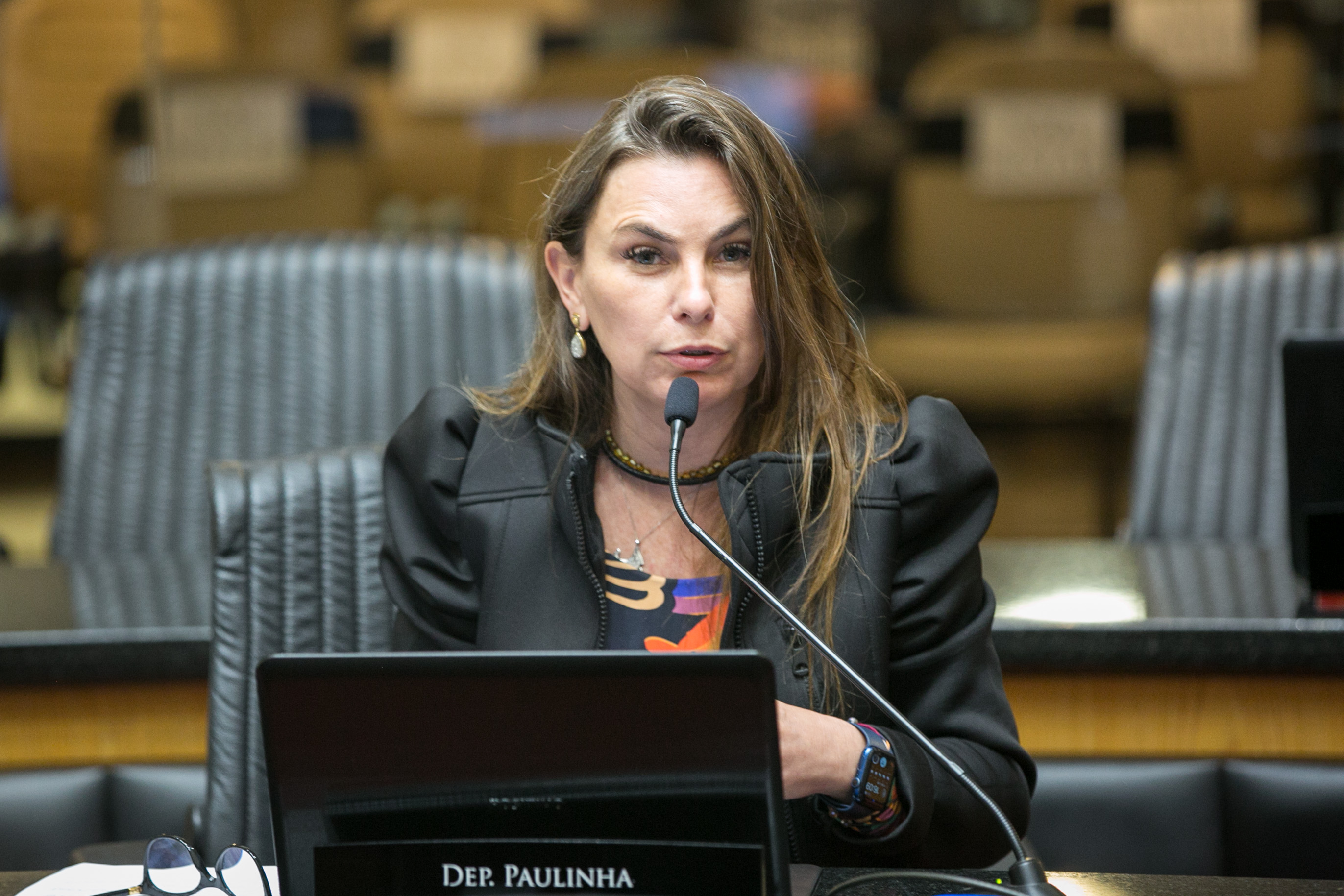 Deputada Paulinha (PDT)