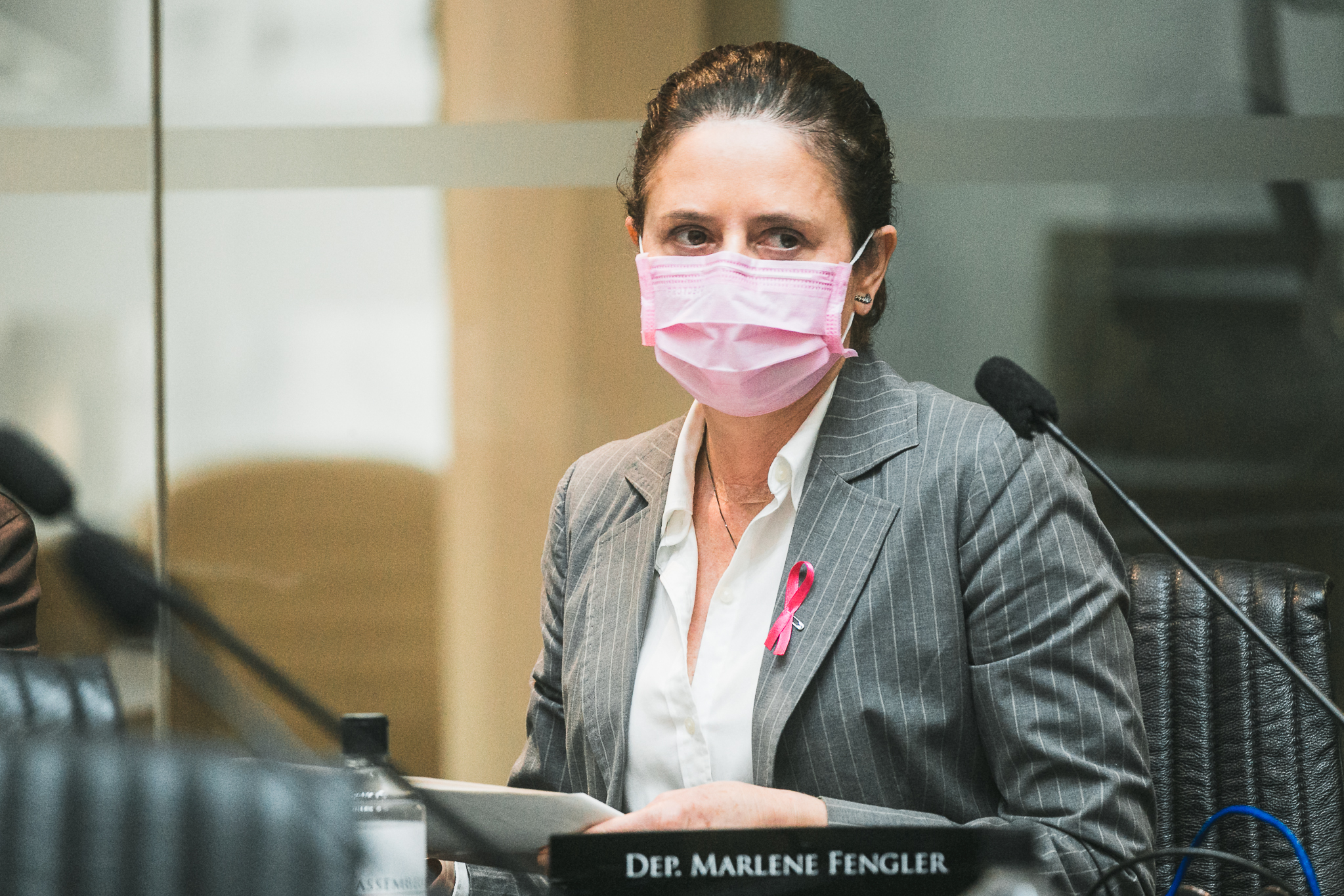 Deputada Marlene Fengler (PSD)
