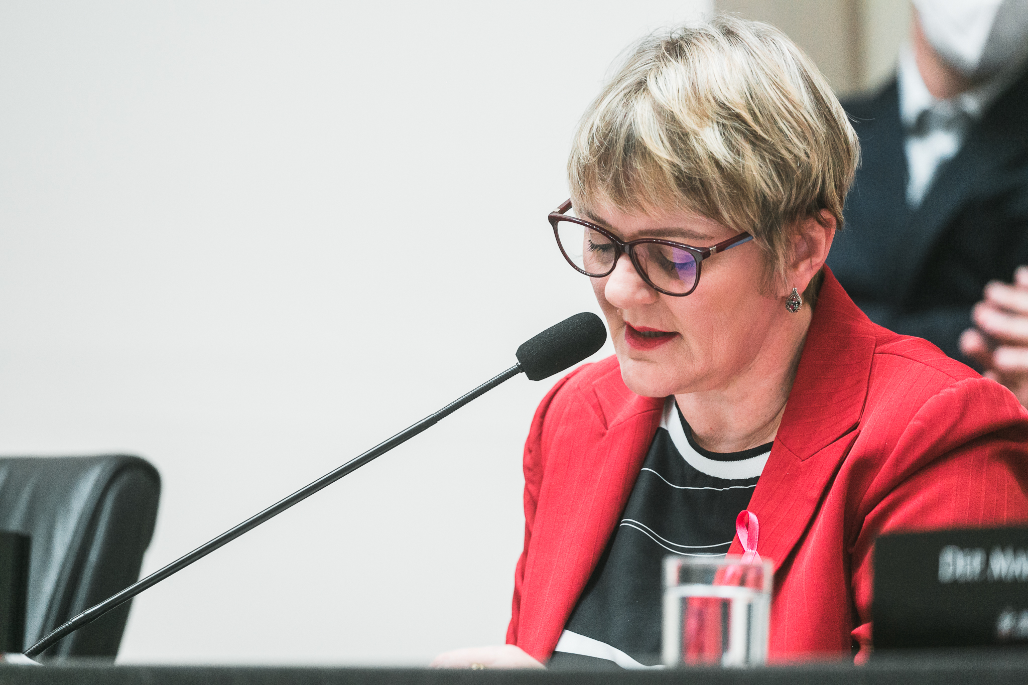 Deputada Luciane Carminatti (PT)