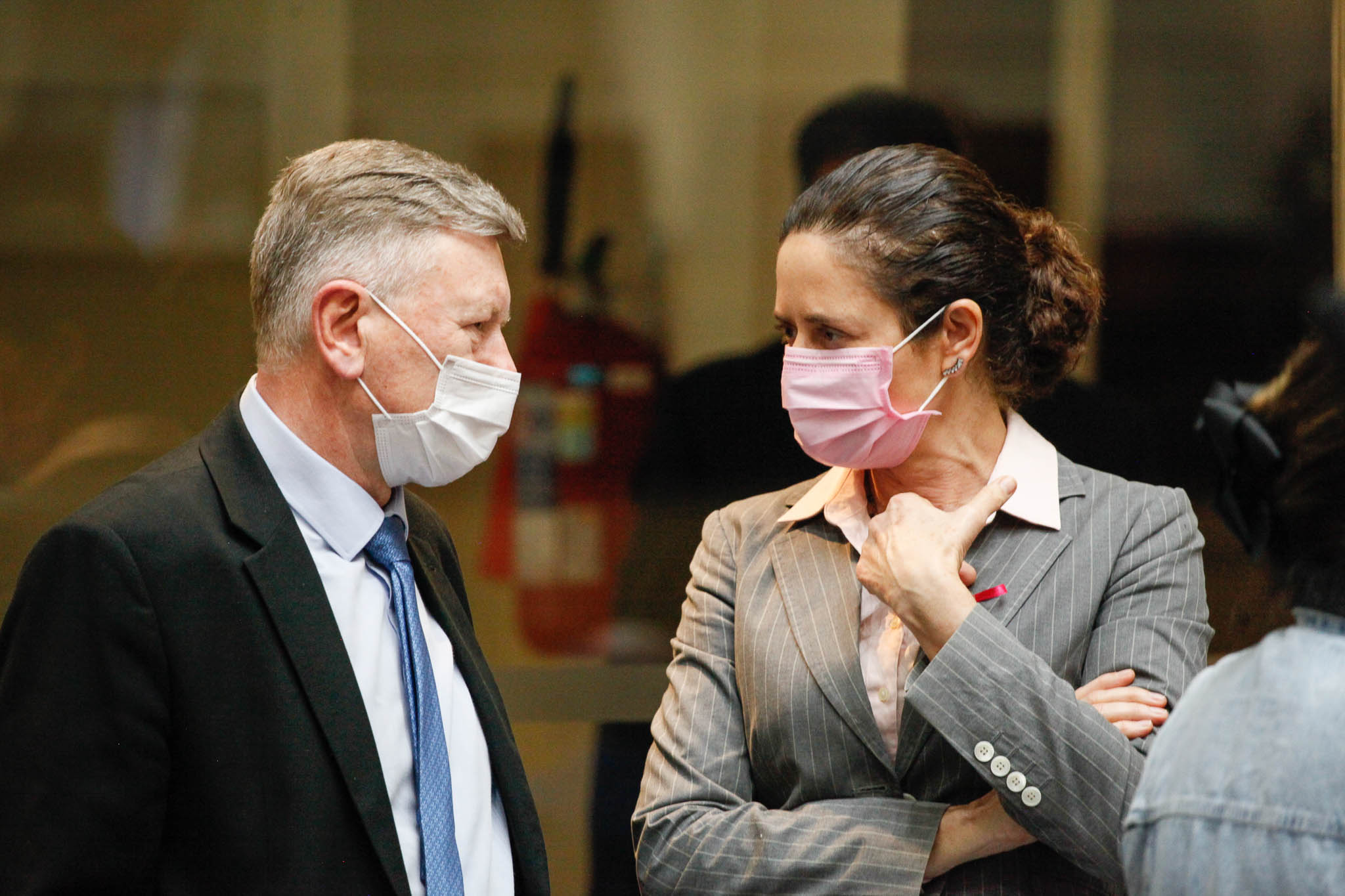 Deputado Milton Hobus (PSD), Deputada Marlene Fengler (PSD