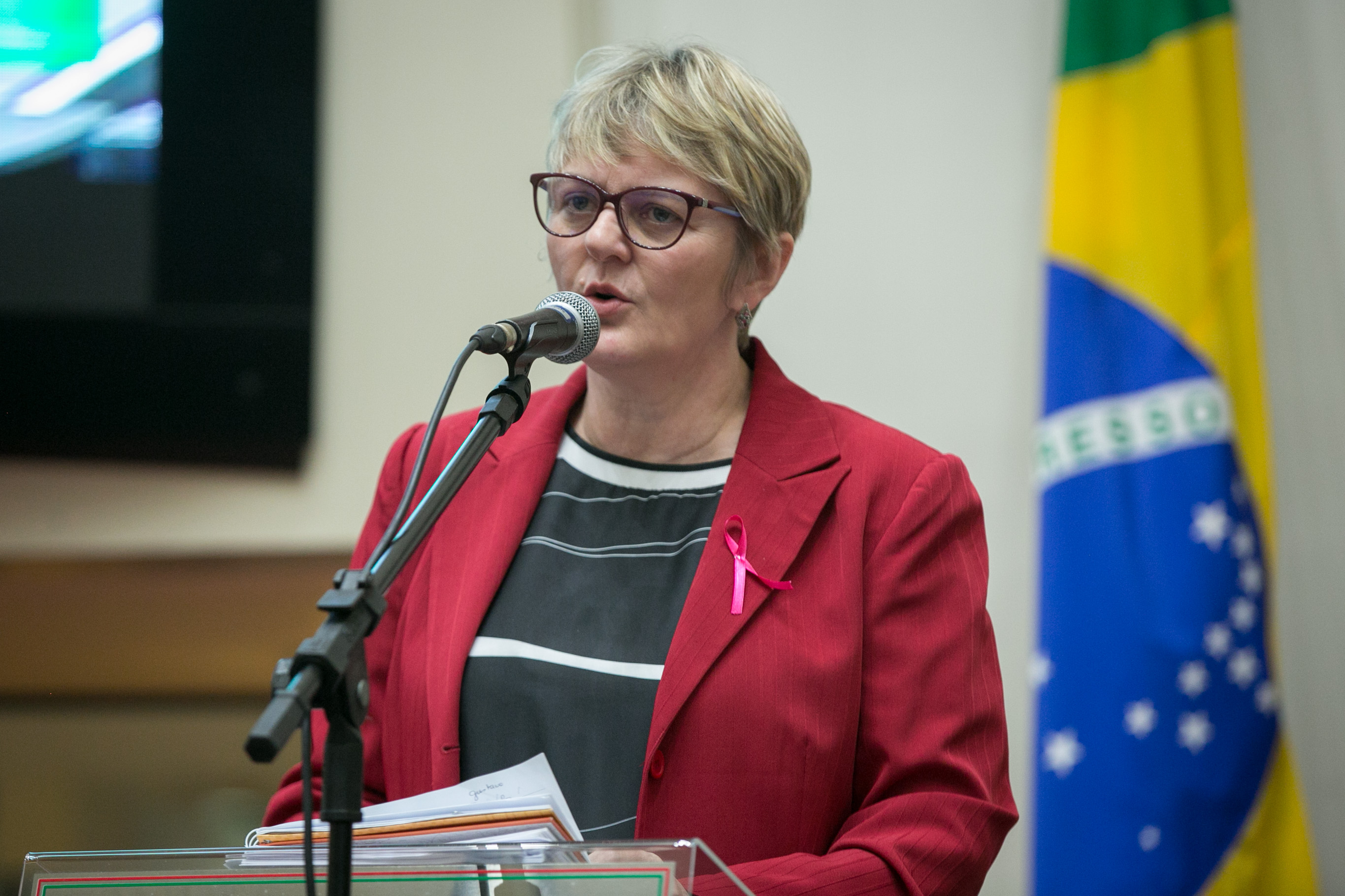 Deputada Luciane Carminatti (PT)