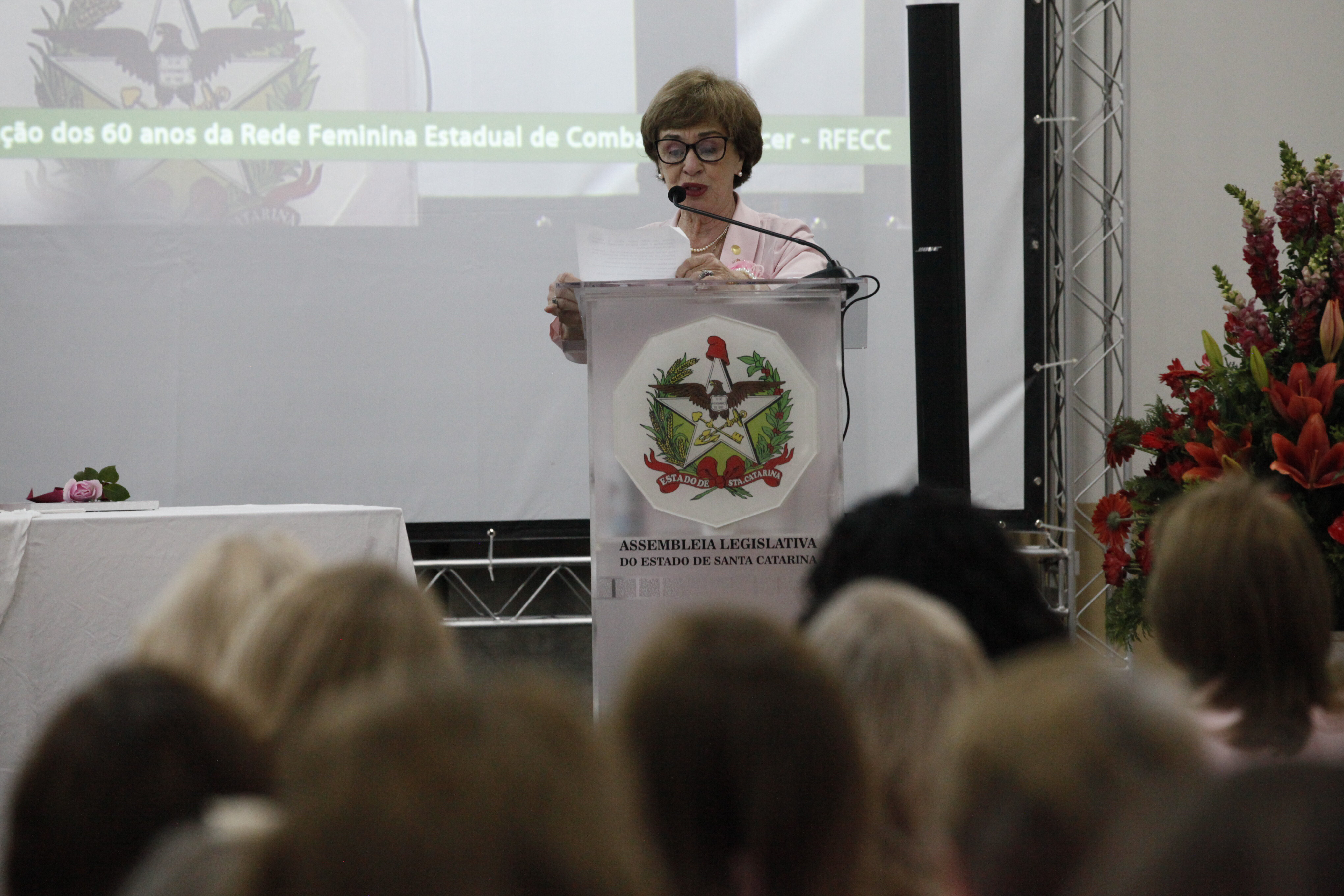Presidente estadual da Rede Feminina Estadual de Combate ao Câncer (RFECC), Maria Círia Zunino