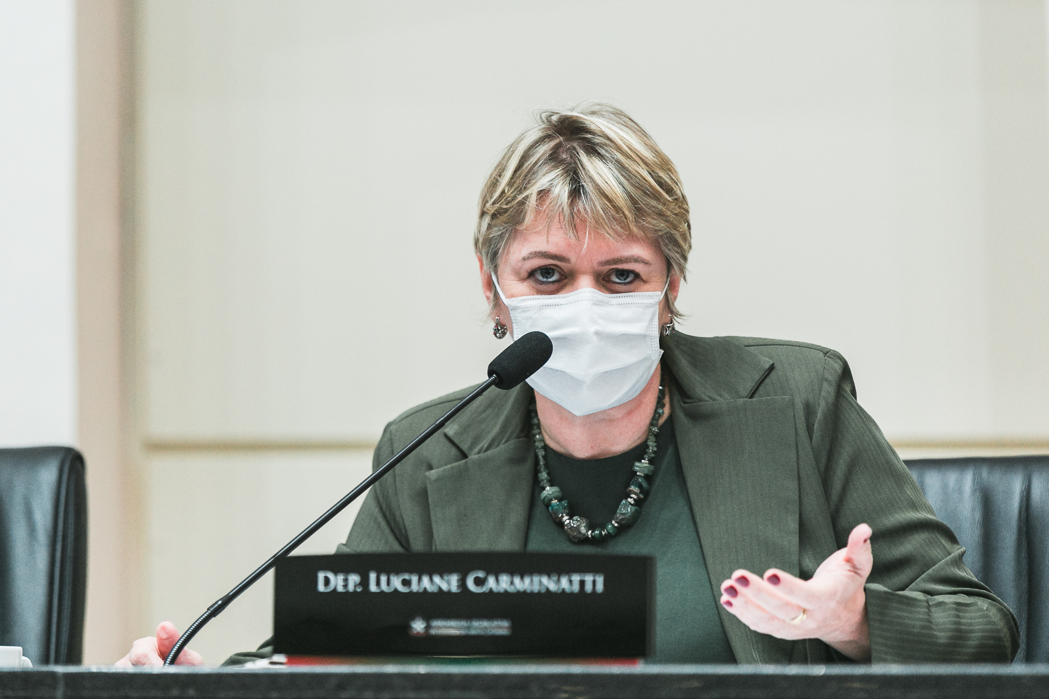 Deputada Luciane Carminatti (PT)
