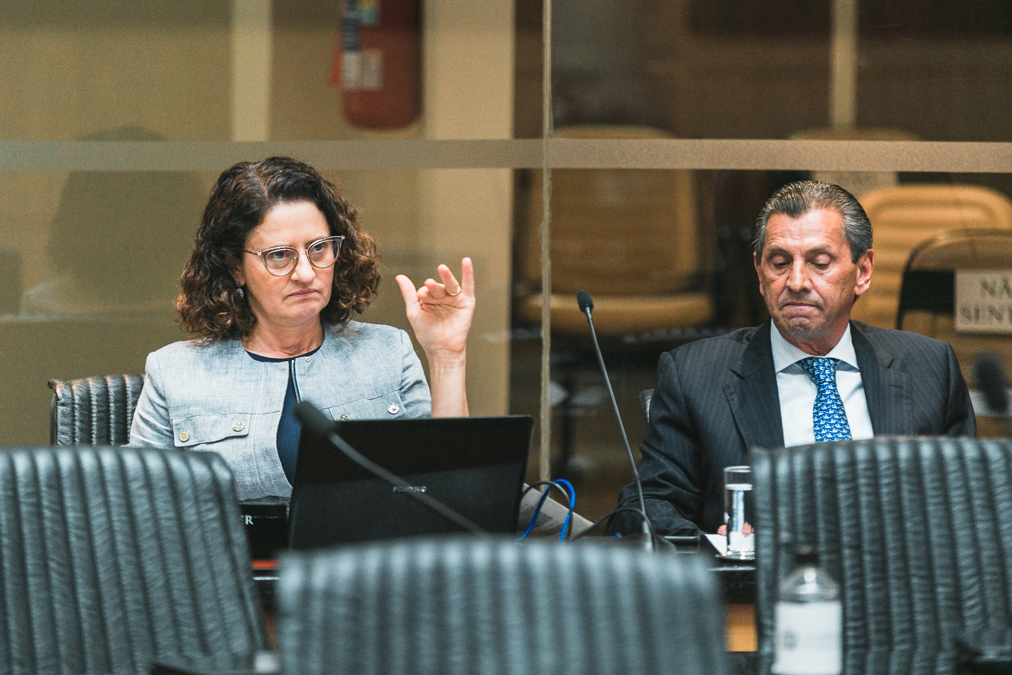 Deputado Júlio Garcia (PSD) - Deputada Marlene Fengler (PSD)