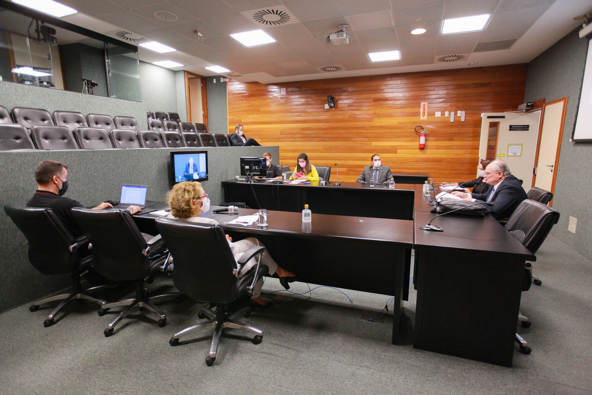 Audiência Pública Virtual – Comissão de Defesa dos Direitos da Pessoa com Deficiência