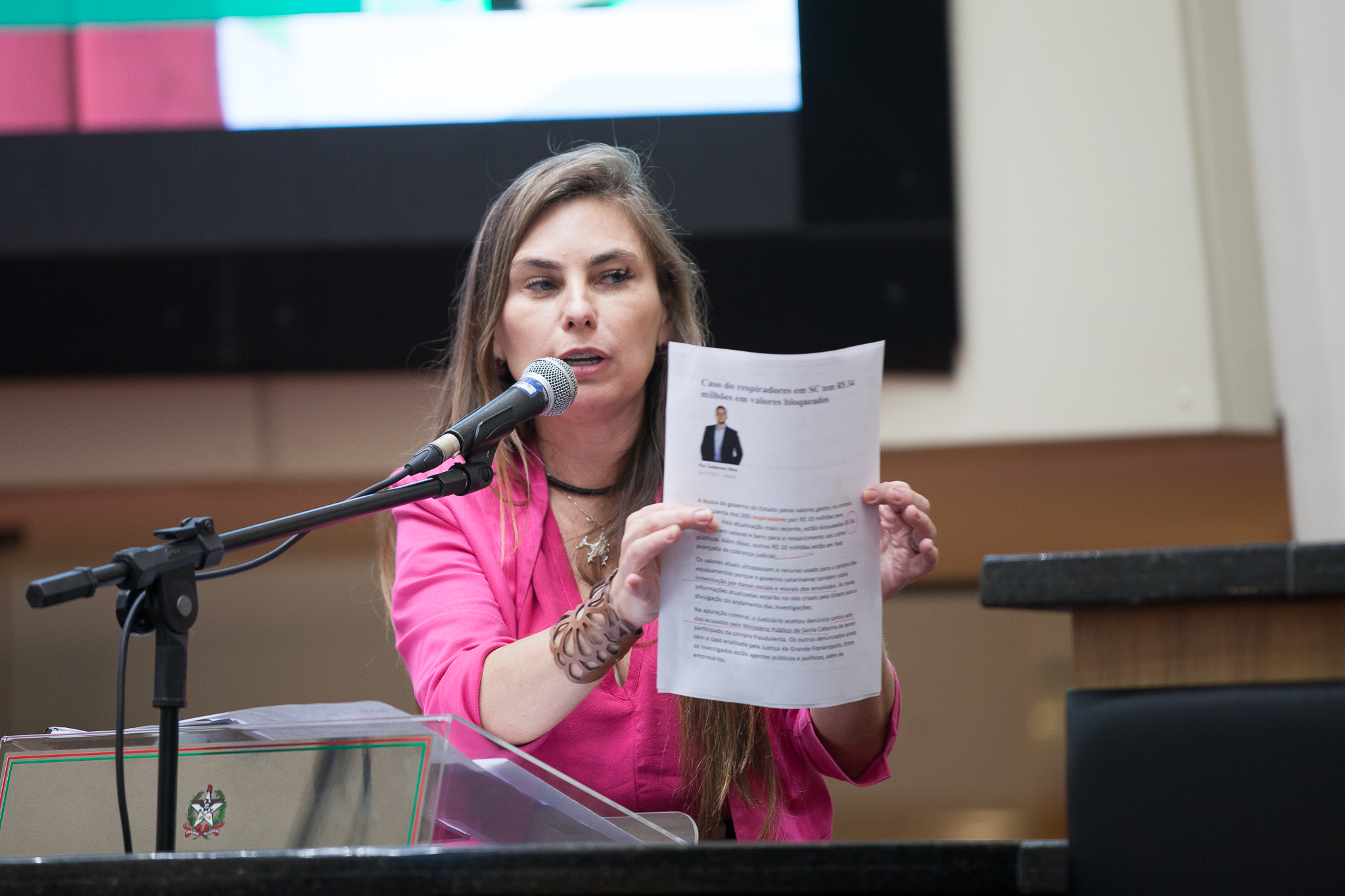Deputada Paulinha (Sem Partido)