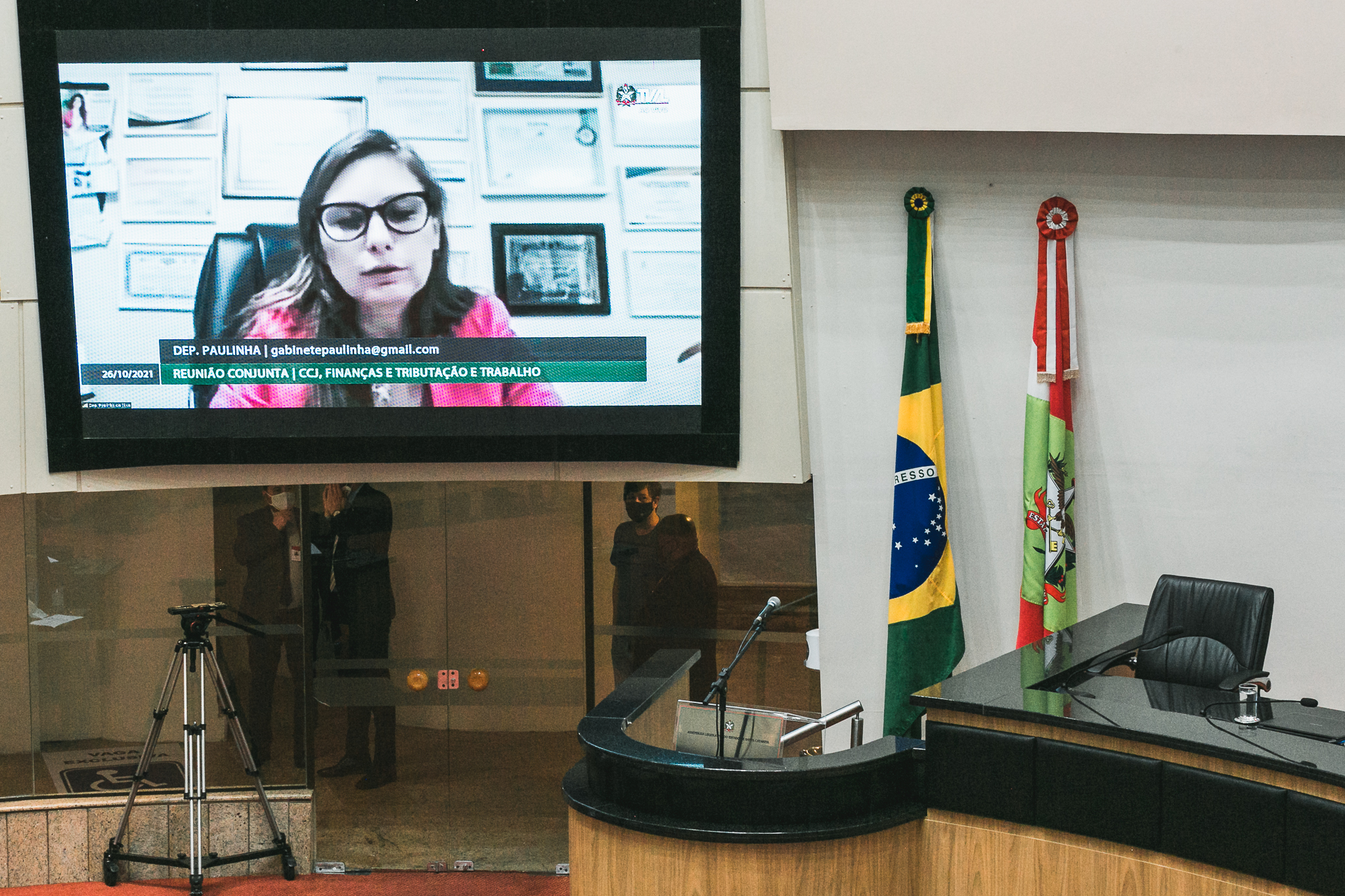 Deputada Paulinha (Sem Partido)