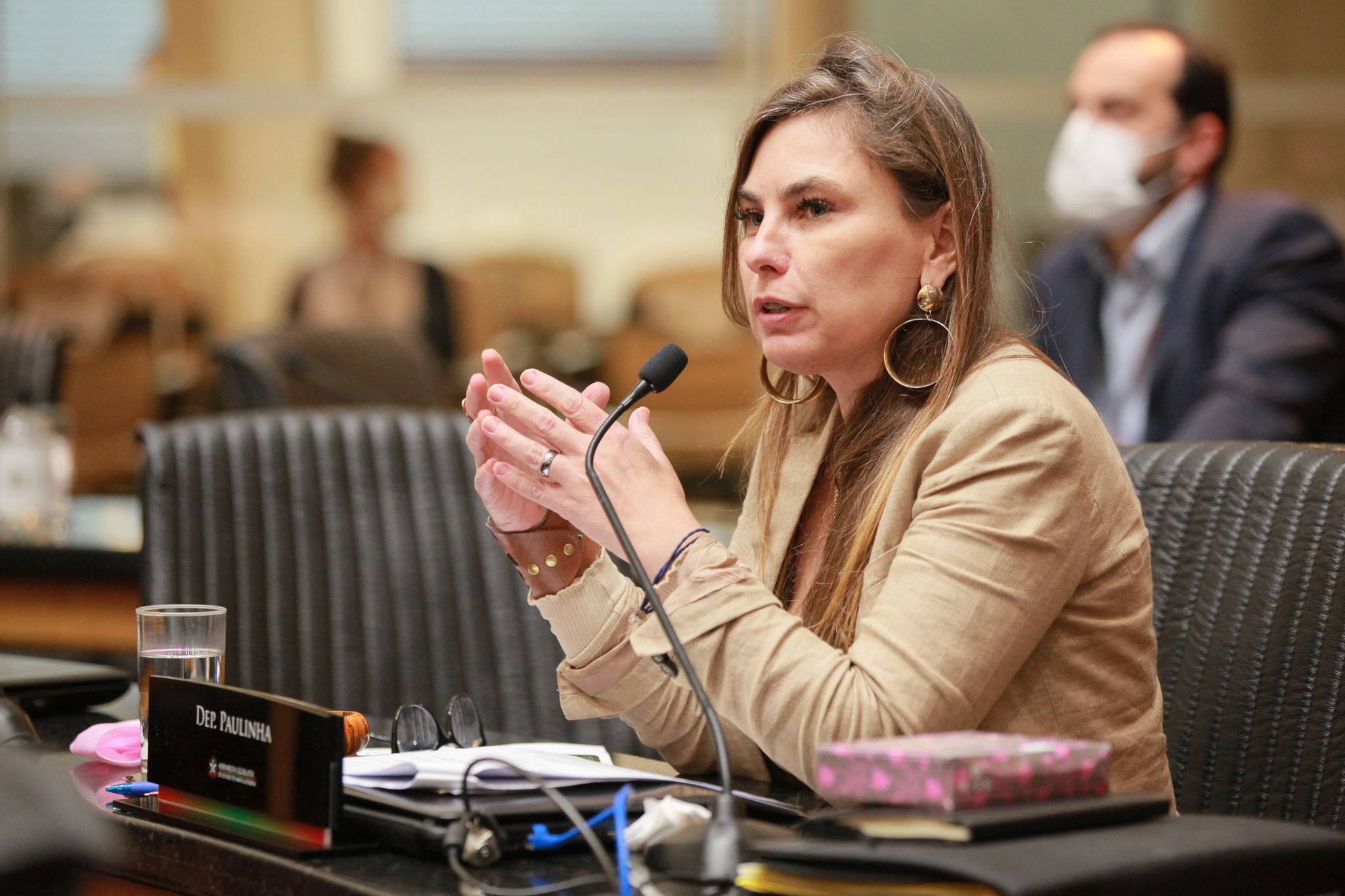 - Deputada Ana Paula da Silva (Sem Partido)