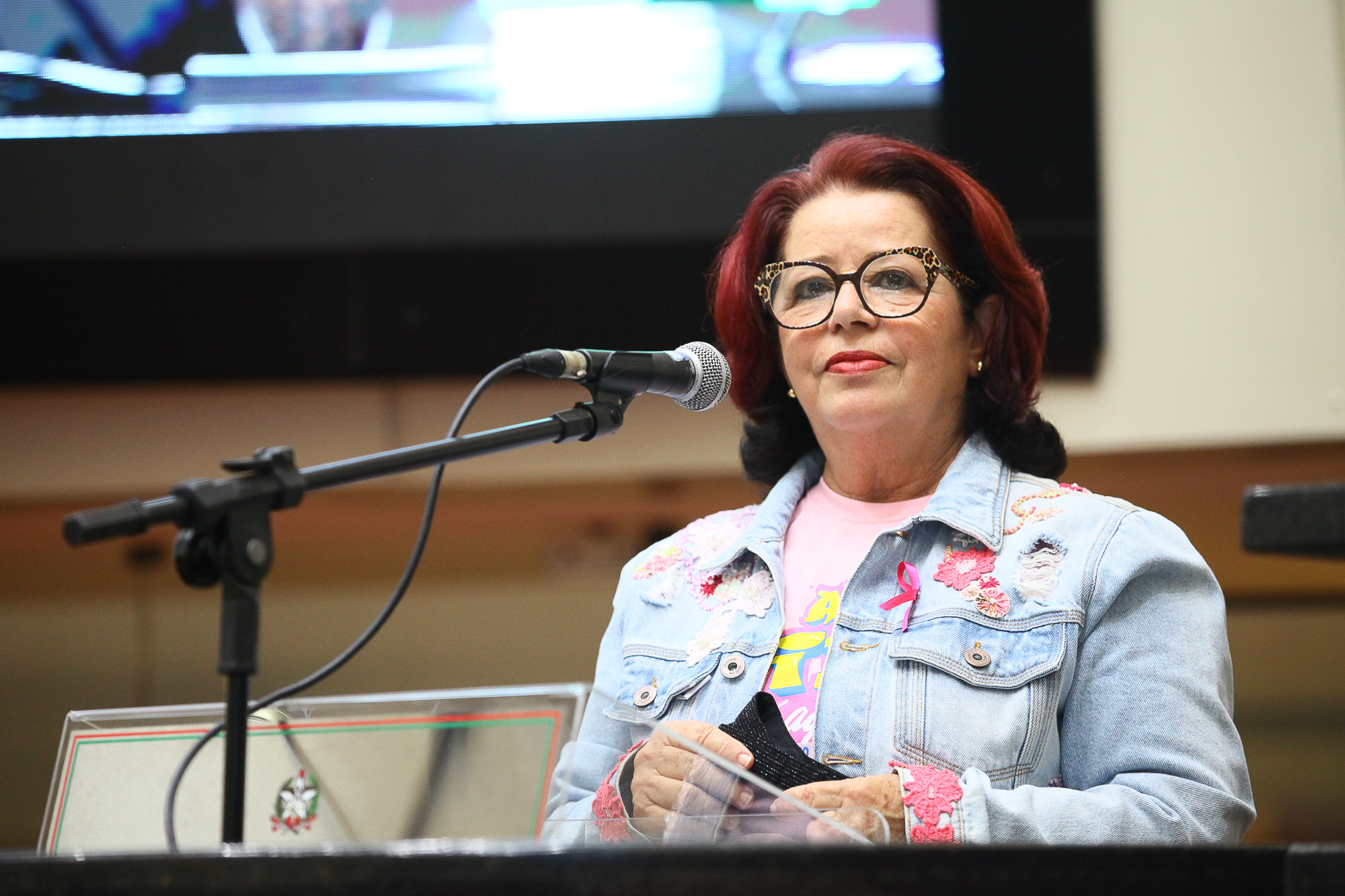 Visita da AMUCC ao Plénário - Célia Fernandes