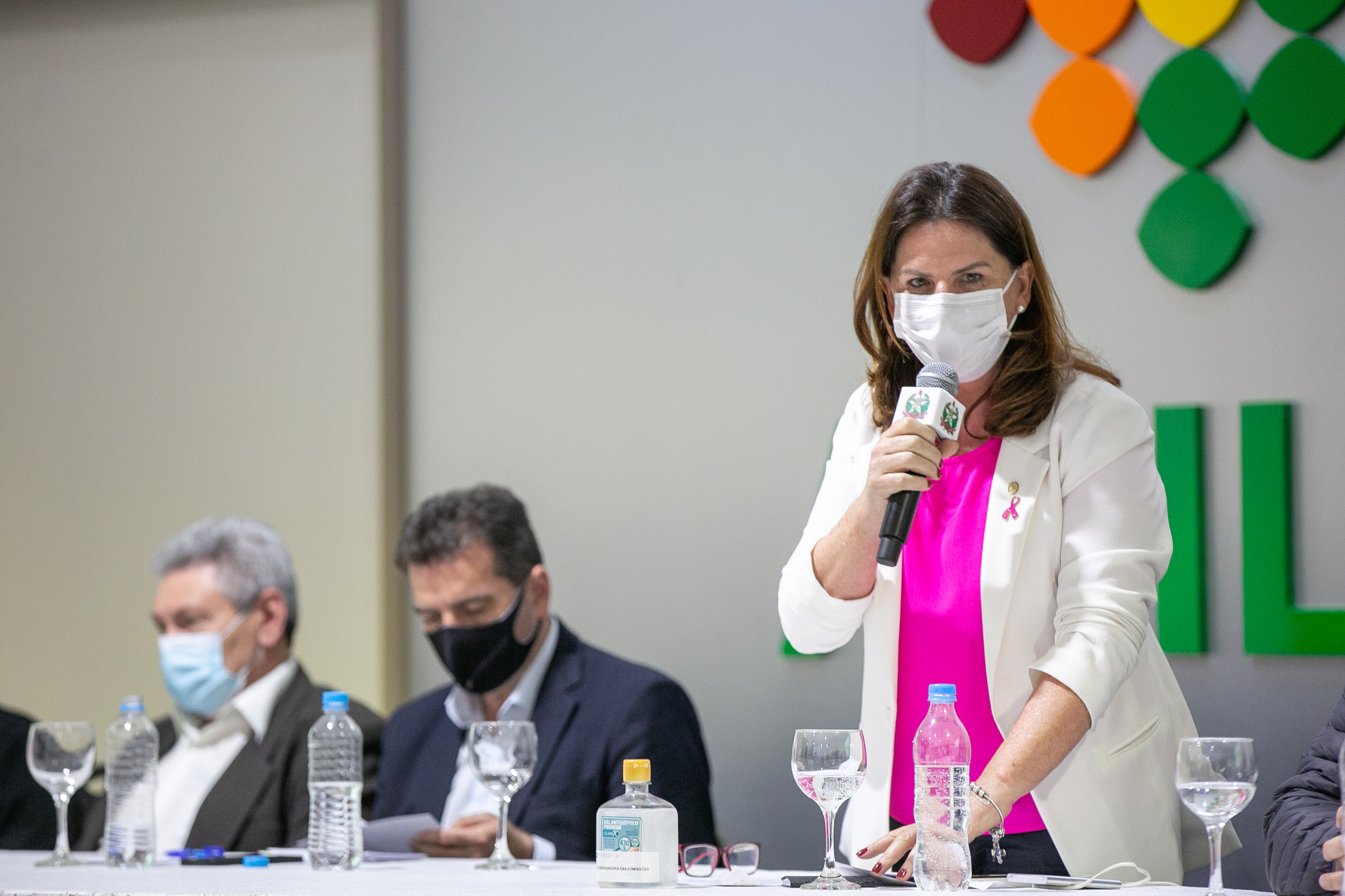 Deputada federal, Carmen Zanotto