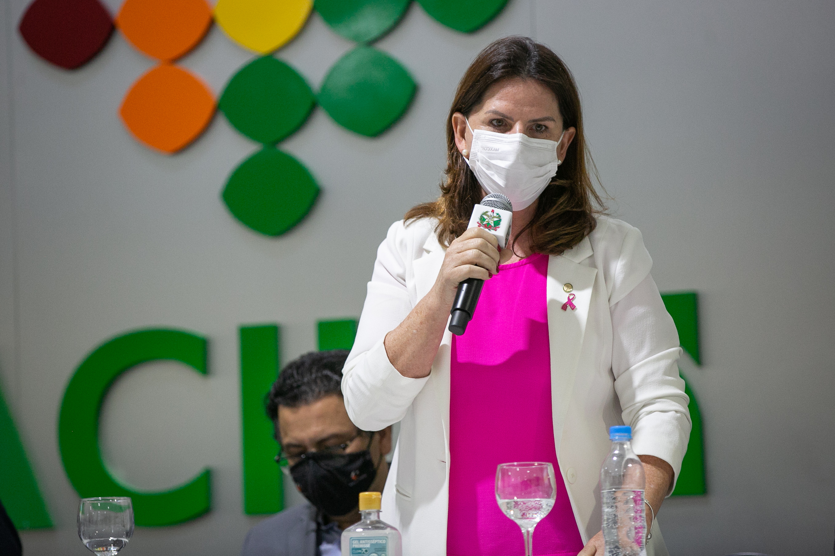 Deputada federal, Carmen Zanotto