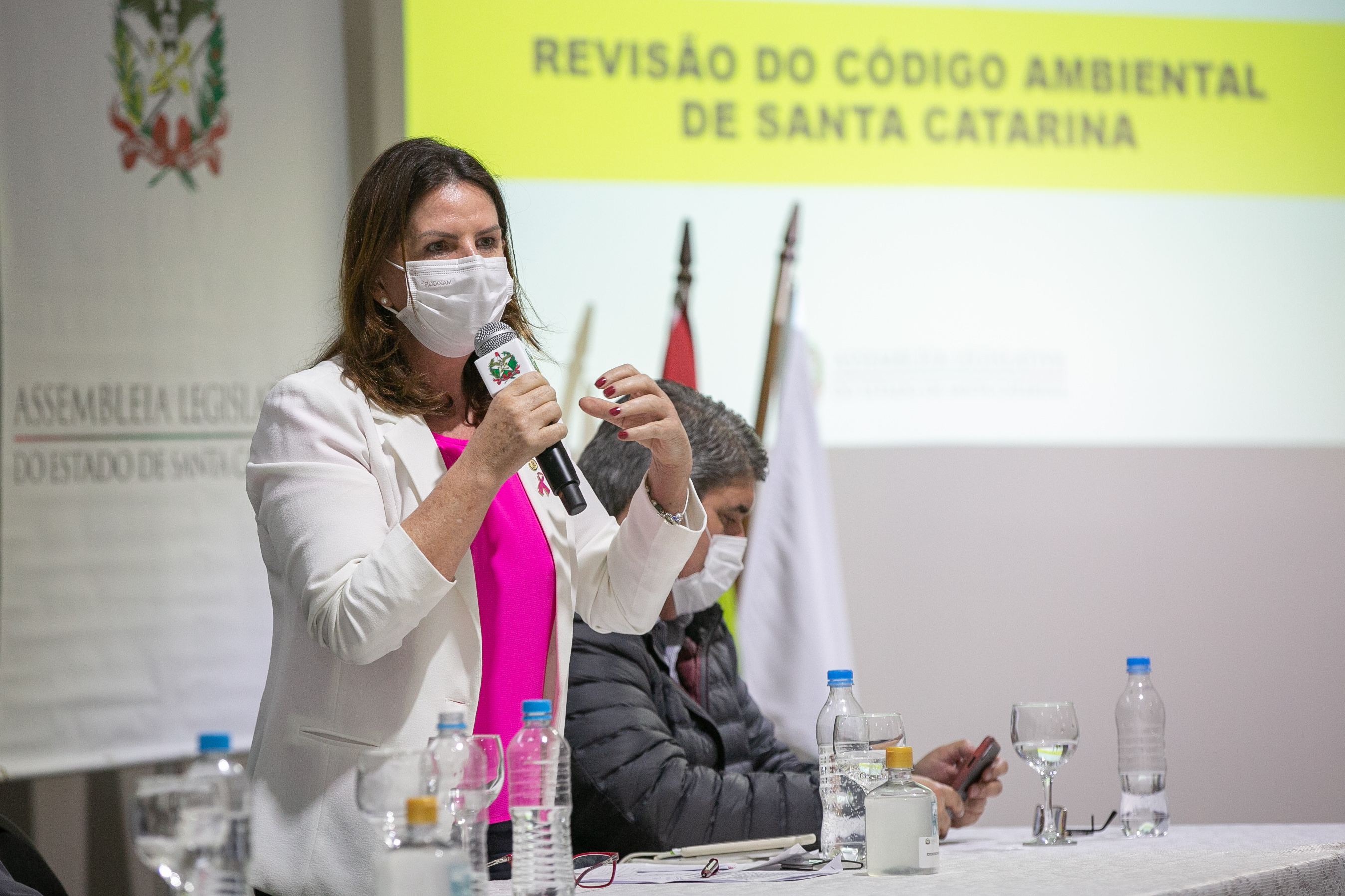 Deputada federal, Carmen Zanotto