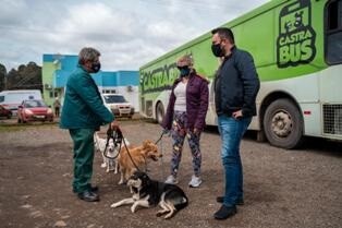 Cães e gatos são castrados com recursos destinados por Marcius Machado