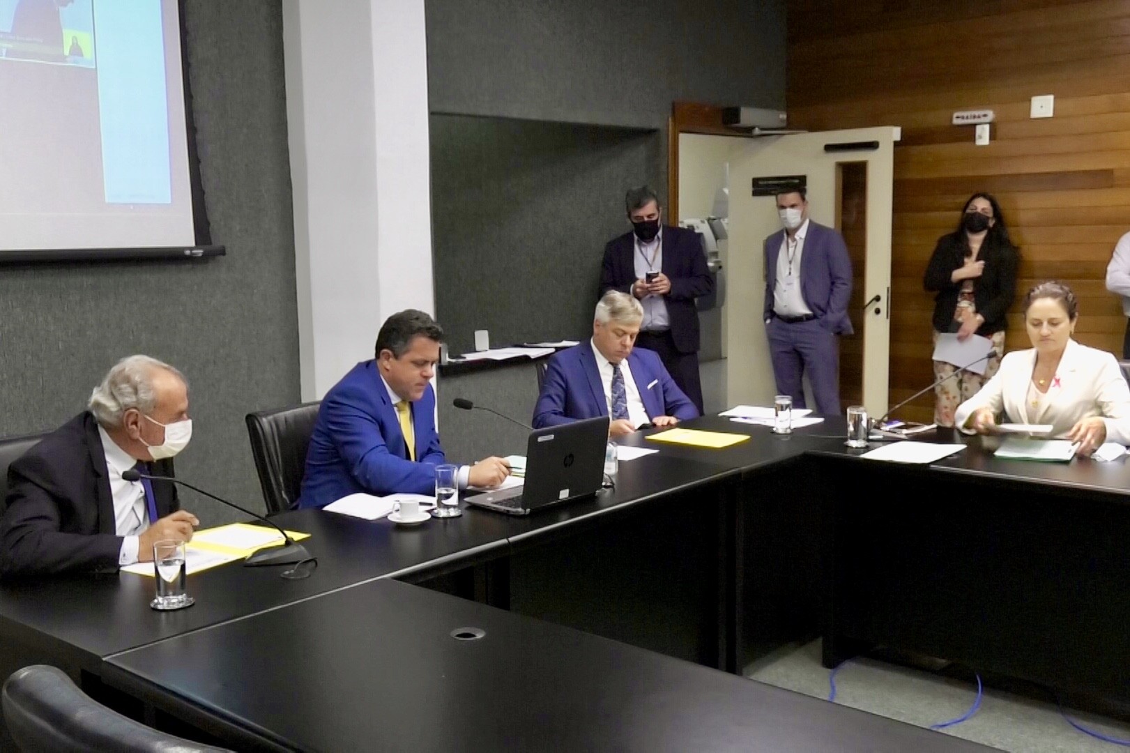 Avança PL sobre transporte de animais domésticos de pequeno e médio porte