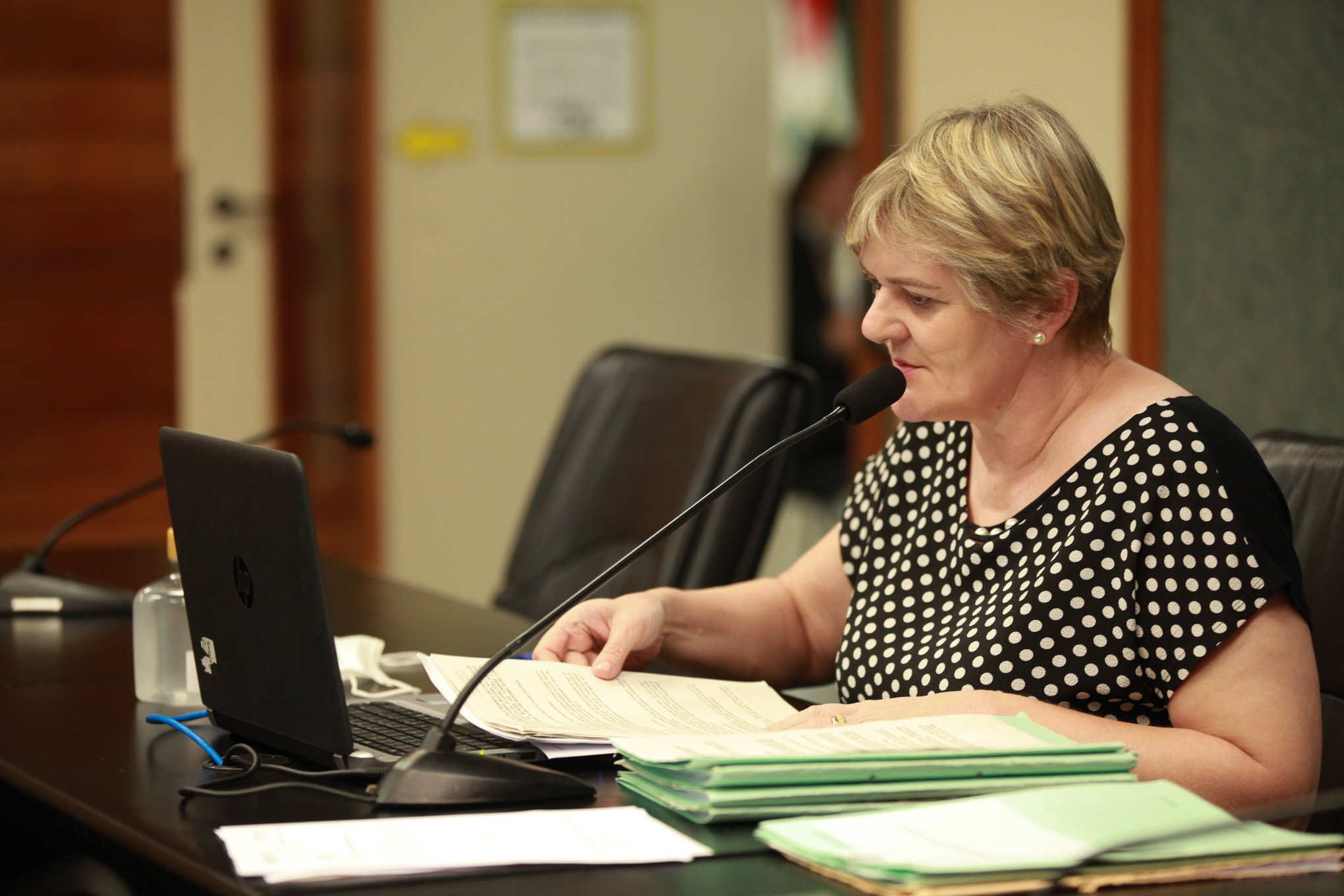 Presidente da Comissão de Educação, Cultura e Desporto, deputada Luciane Carminatti (PT).