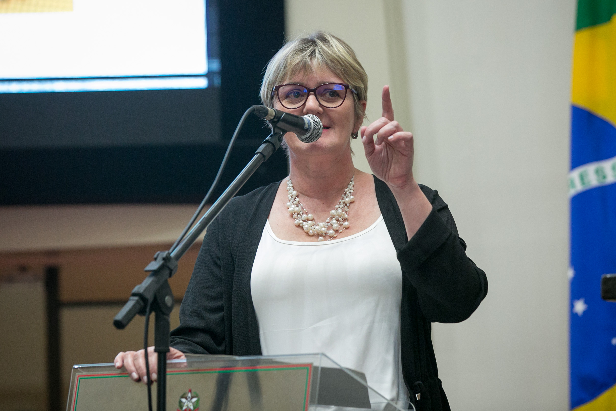 Deputada Luciane Carminatti (PT)