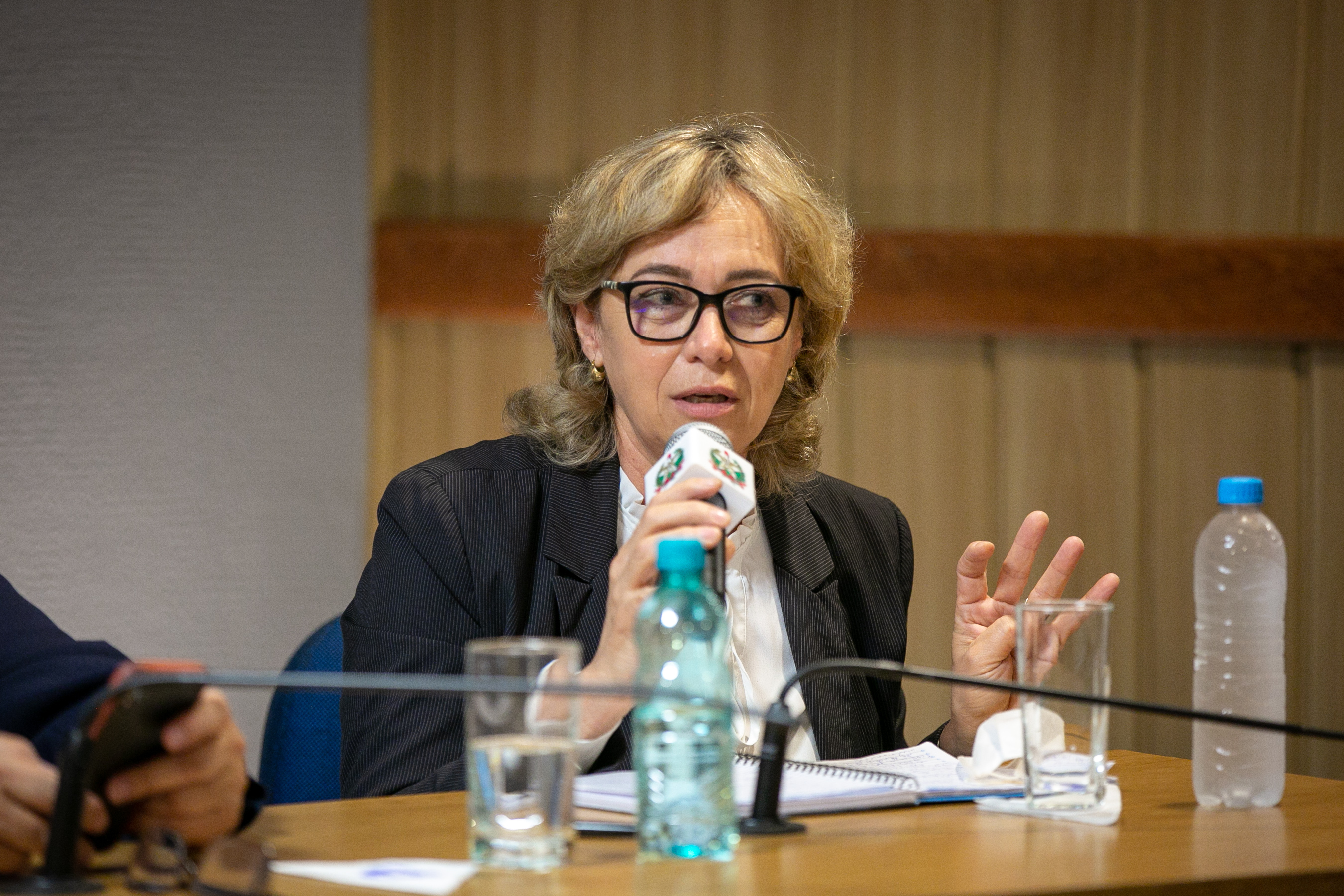 Diretora Executiva da FECAM Sisi Blind