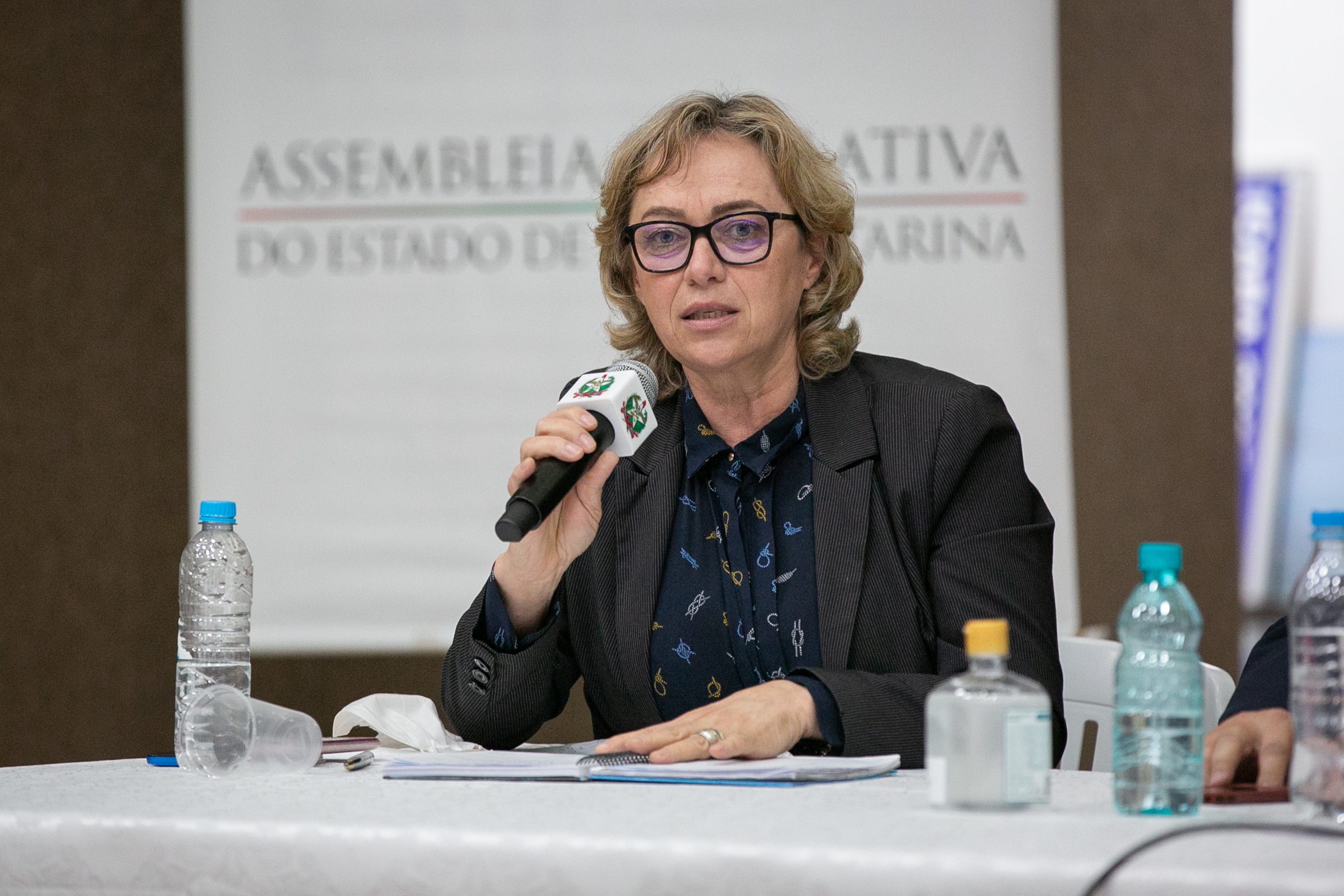 Diretora Executiva da FECAM, Sisi Blind