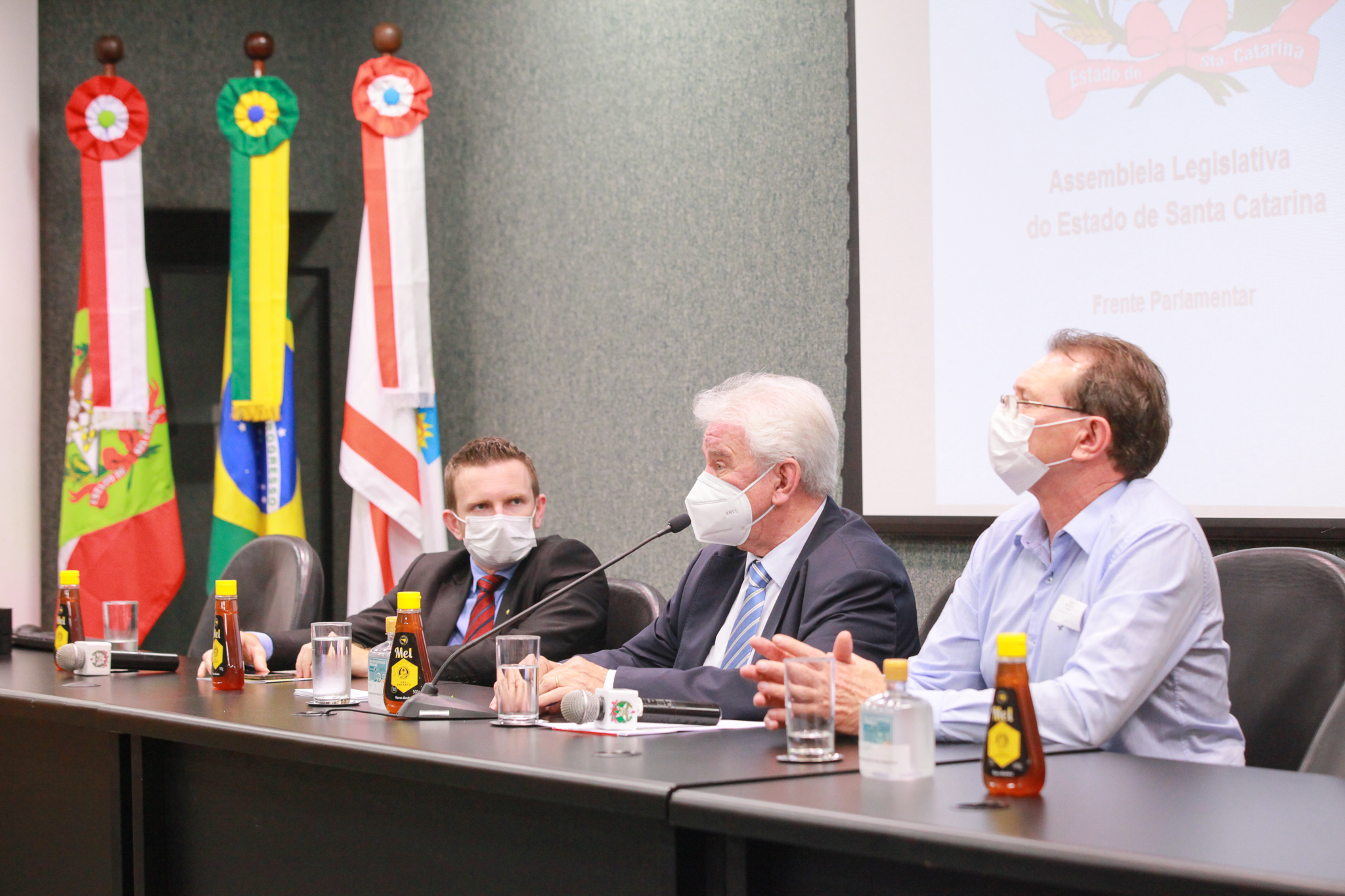 Frente Parlamentar da Apicultura e Meliponicultura