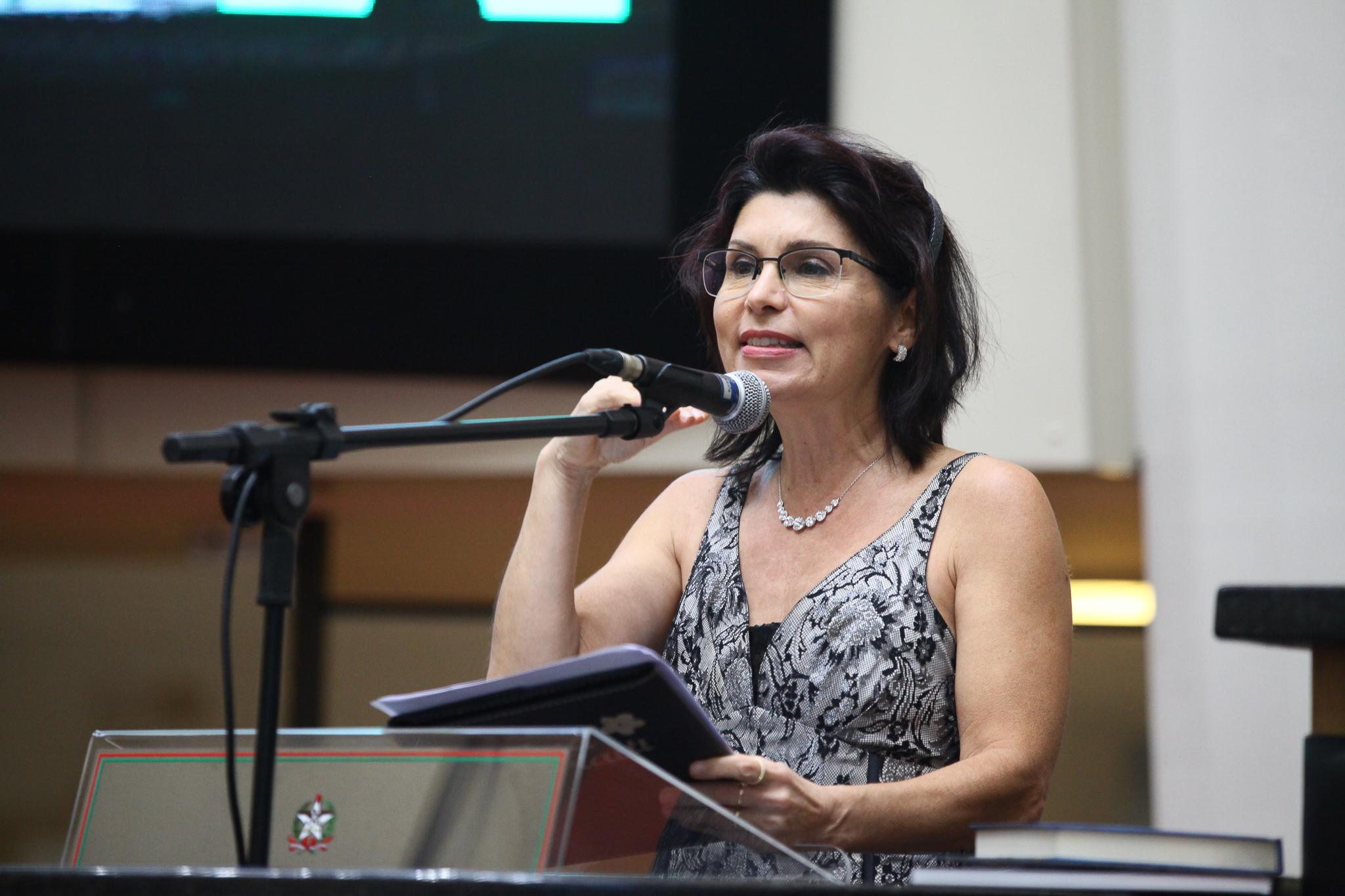 Plenário - Manifestação da Escritora Ana Lavratti sobre o livro 