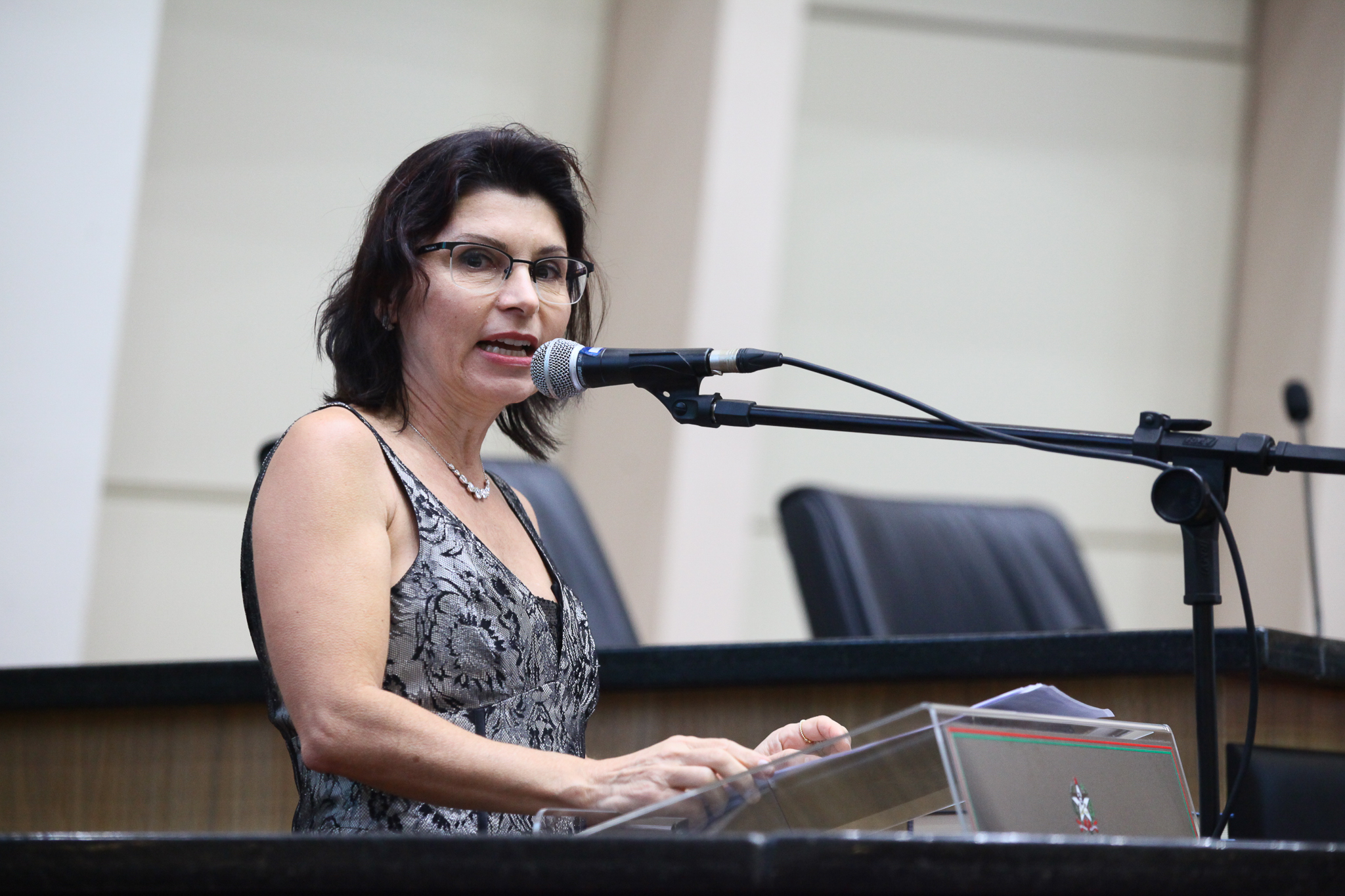 Plenário - Manifestação da Escritora Ana Lavratti sobre o livro 