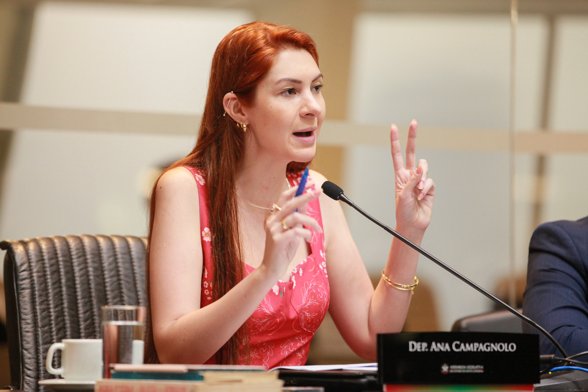 - Deputada Ana Caroline Campagnolo (PSL)