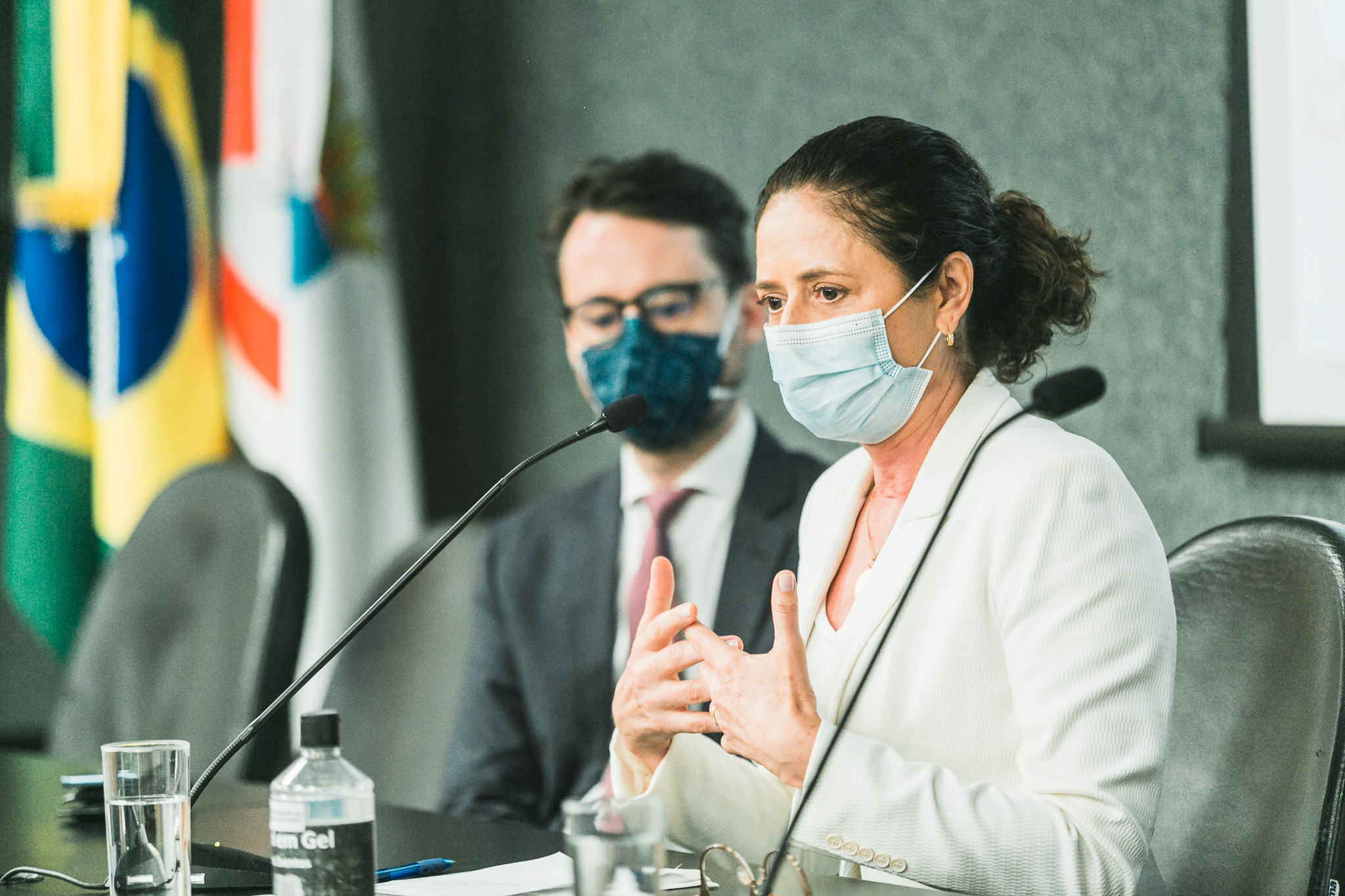 Deputada Marlene Fengler (PSD)