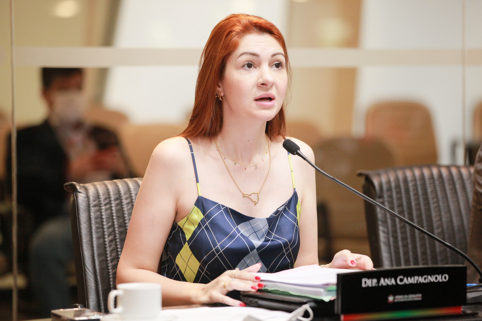 - Deputada Ana Caroline Campagnolo (PSL)