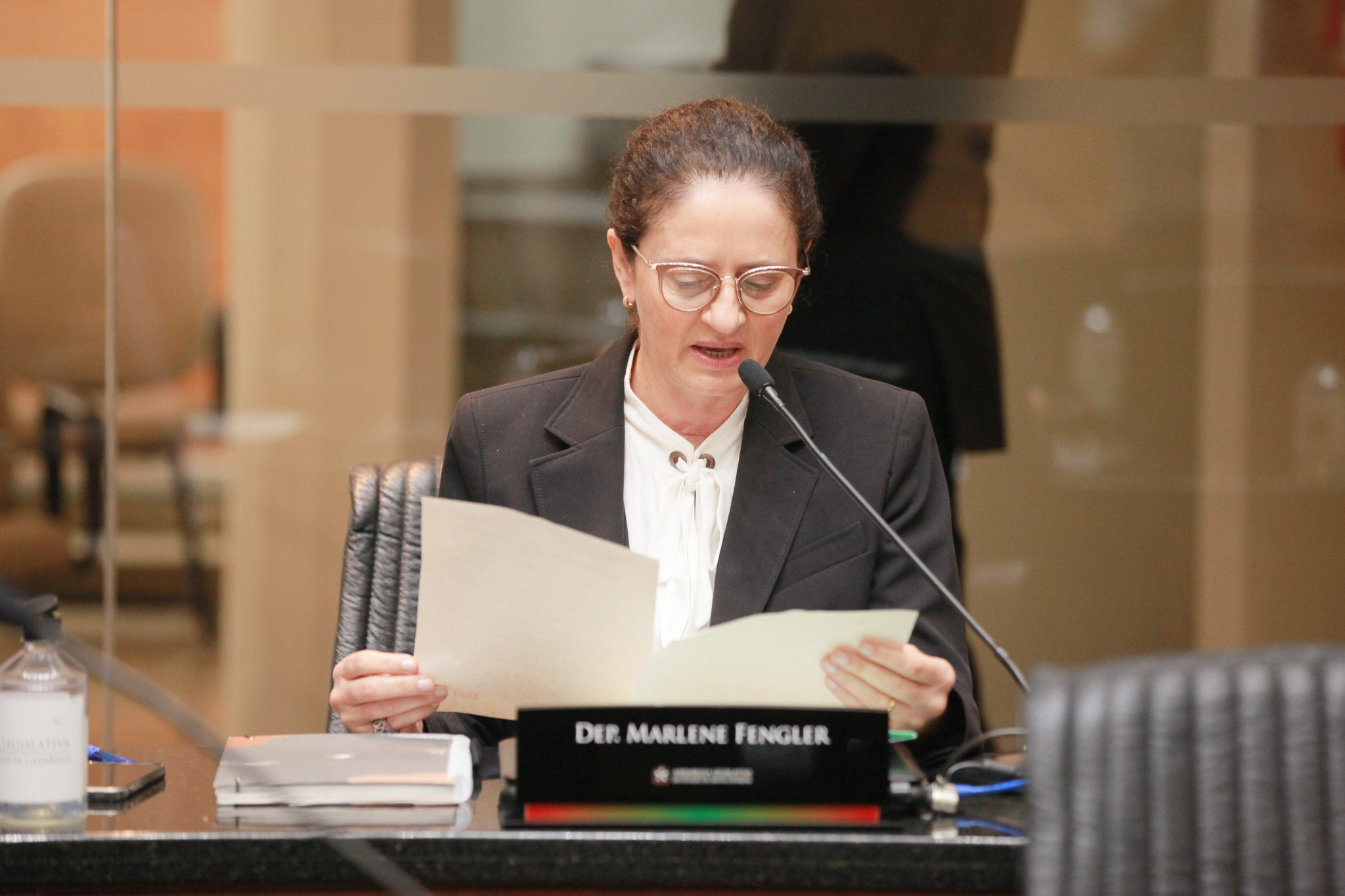- Deputada Marlene Fengler (PSD)