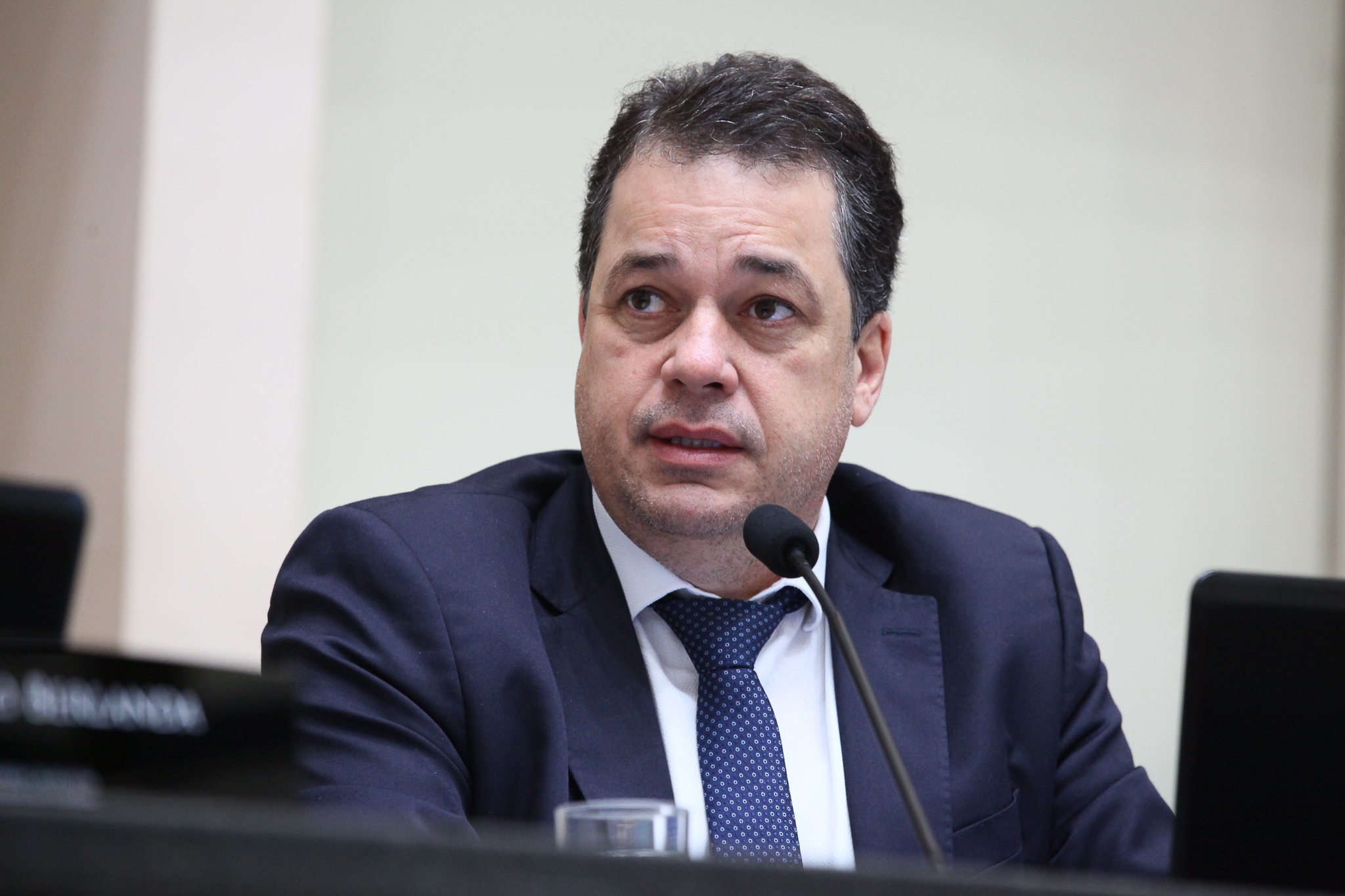 Sessão Ordinária - Deputado Rodrigo Minotto (PDT)