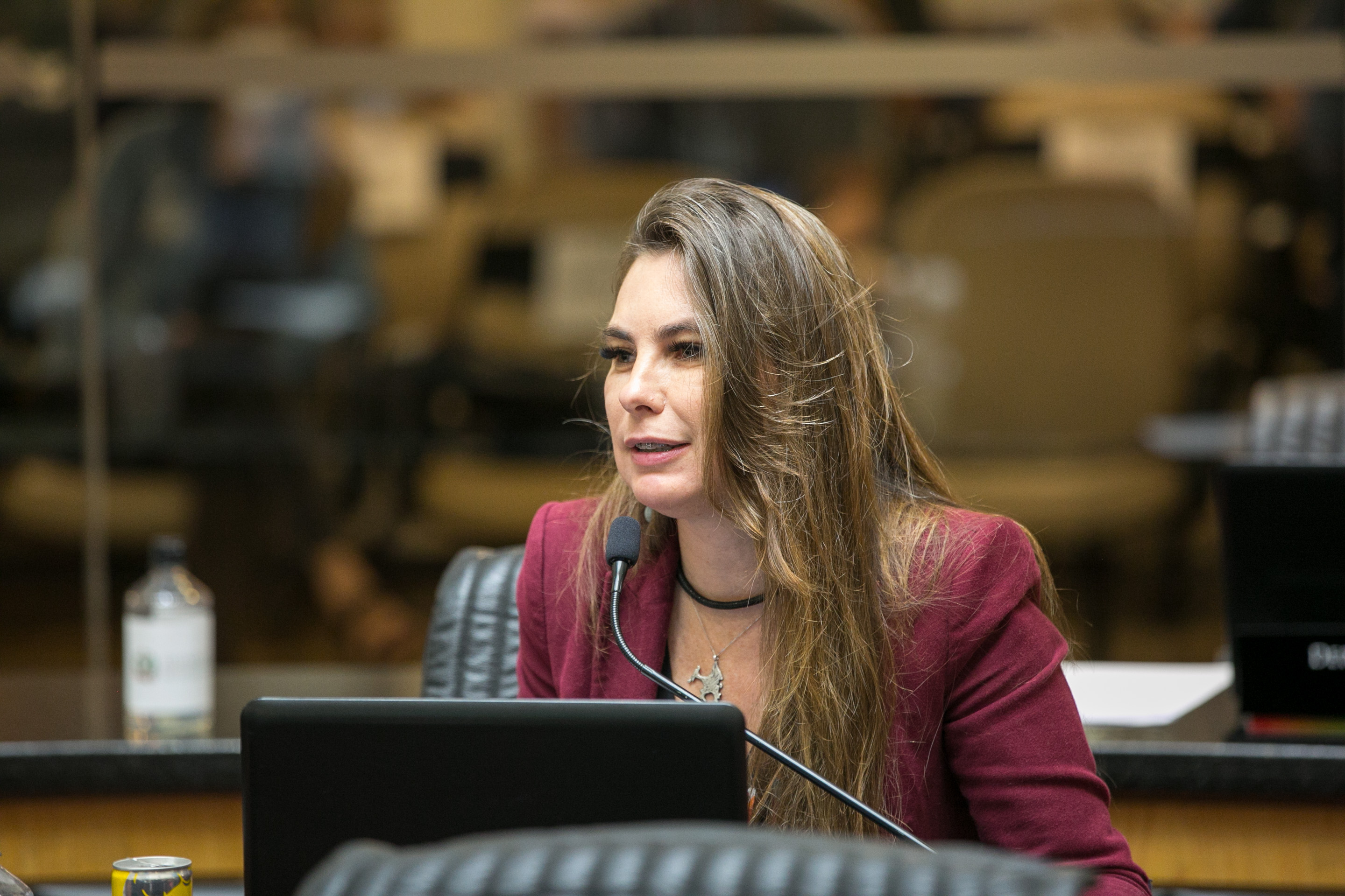 Deputada Paulinha (sem partido)