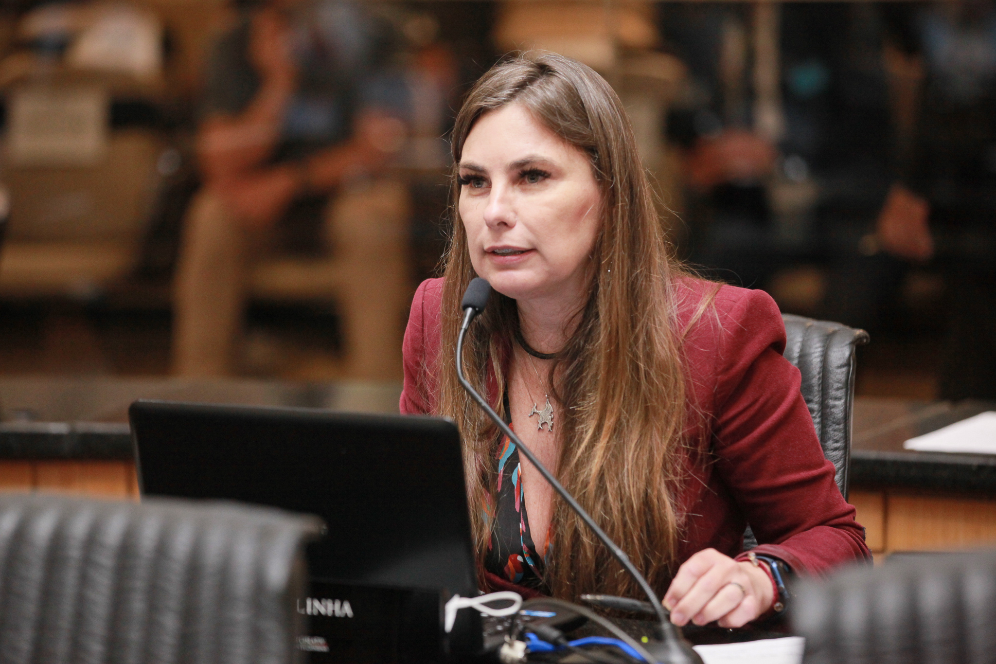 - Deputada Paulinha (Sem Partido)