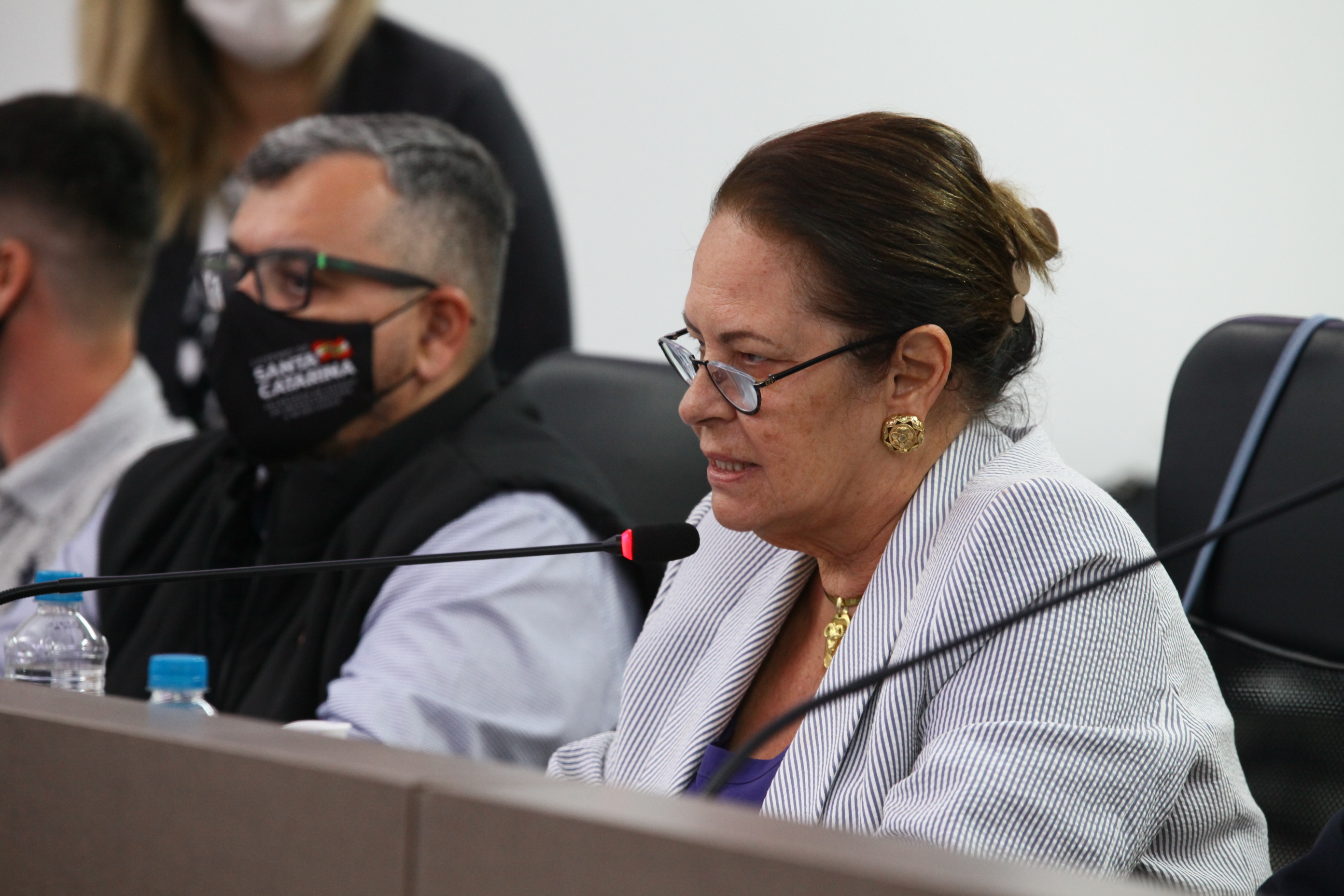 Audiência Pública - Processo de estudo da desestatização dos portos de SC - Deputada Ada Faraco de Luca (MDB)