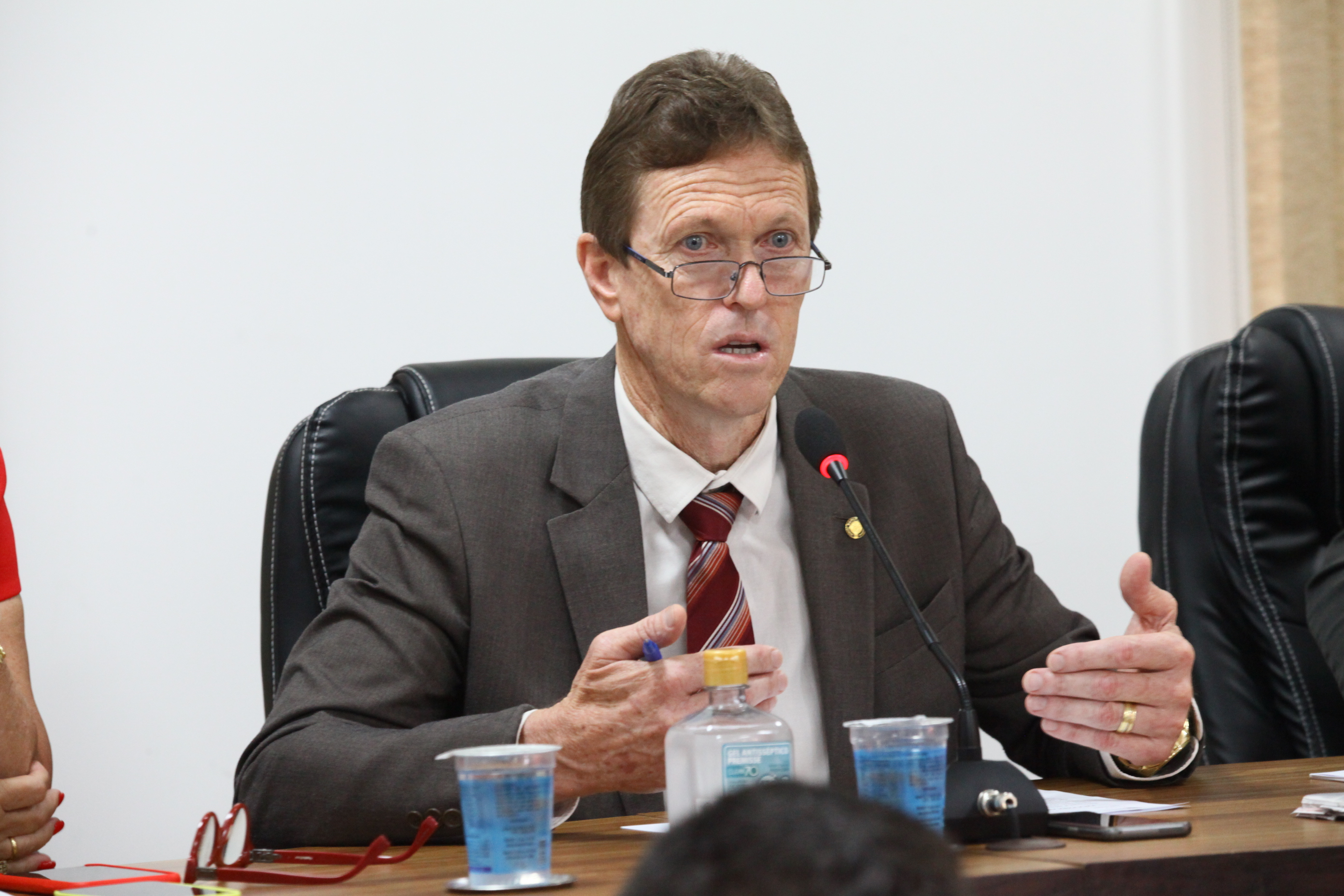 Audiência Pública da Comissão Mista sobre o processo de estudo da desestatização dos portos catarinenses - Deputado Volnei Weber (MDB)